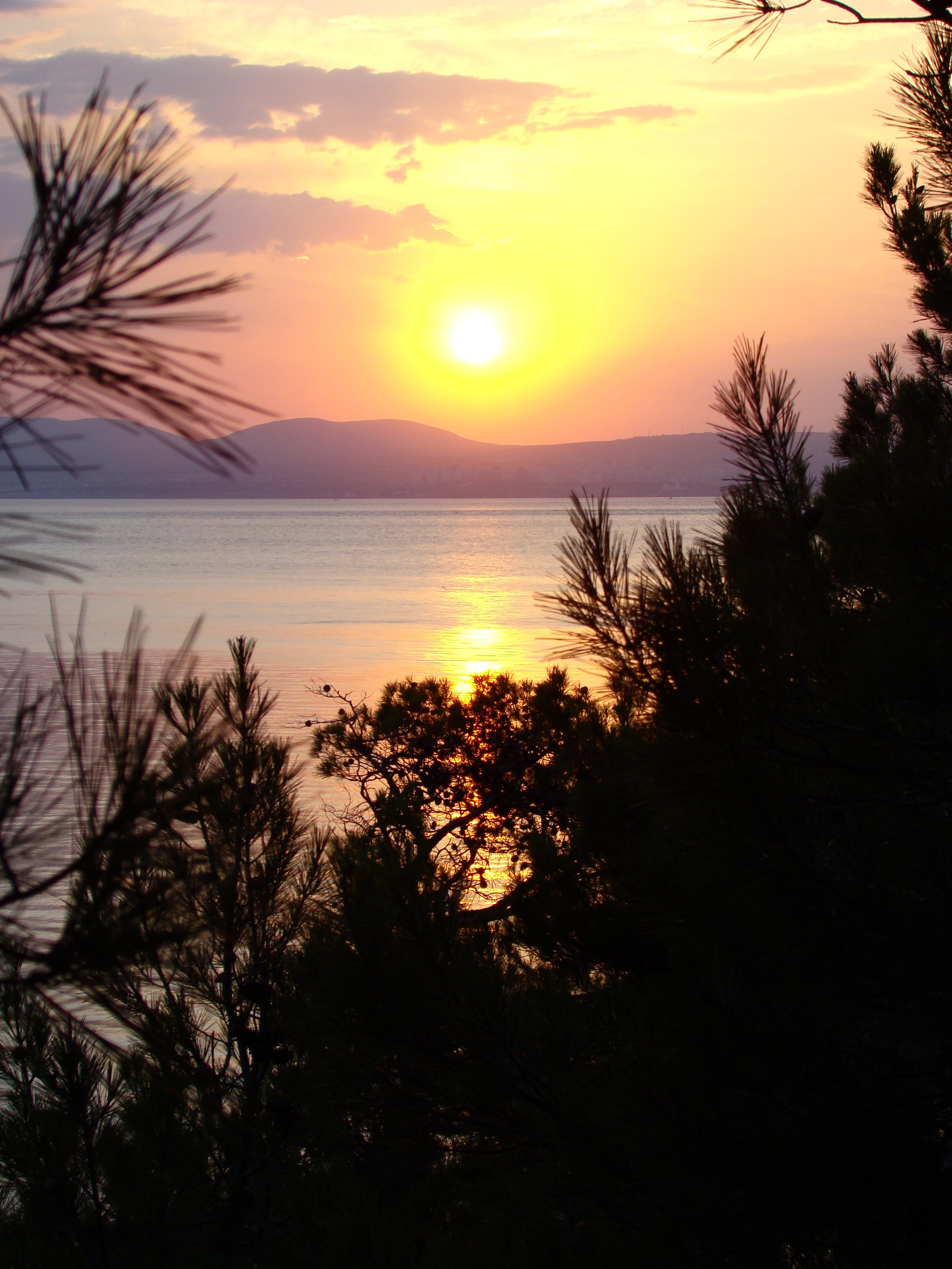 Кабардинка (фото Зевиных) 25.06-24.07.2008. Семейный, Свадебный фотограф СПБ Питер— Романова Екатерина