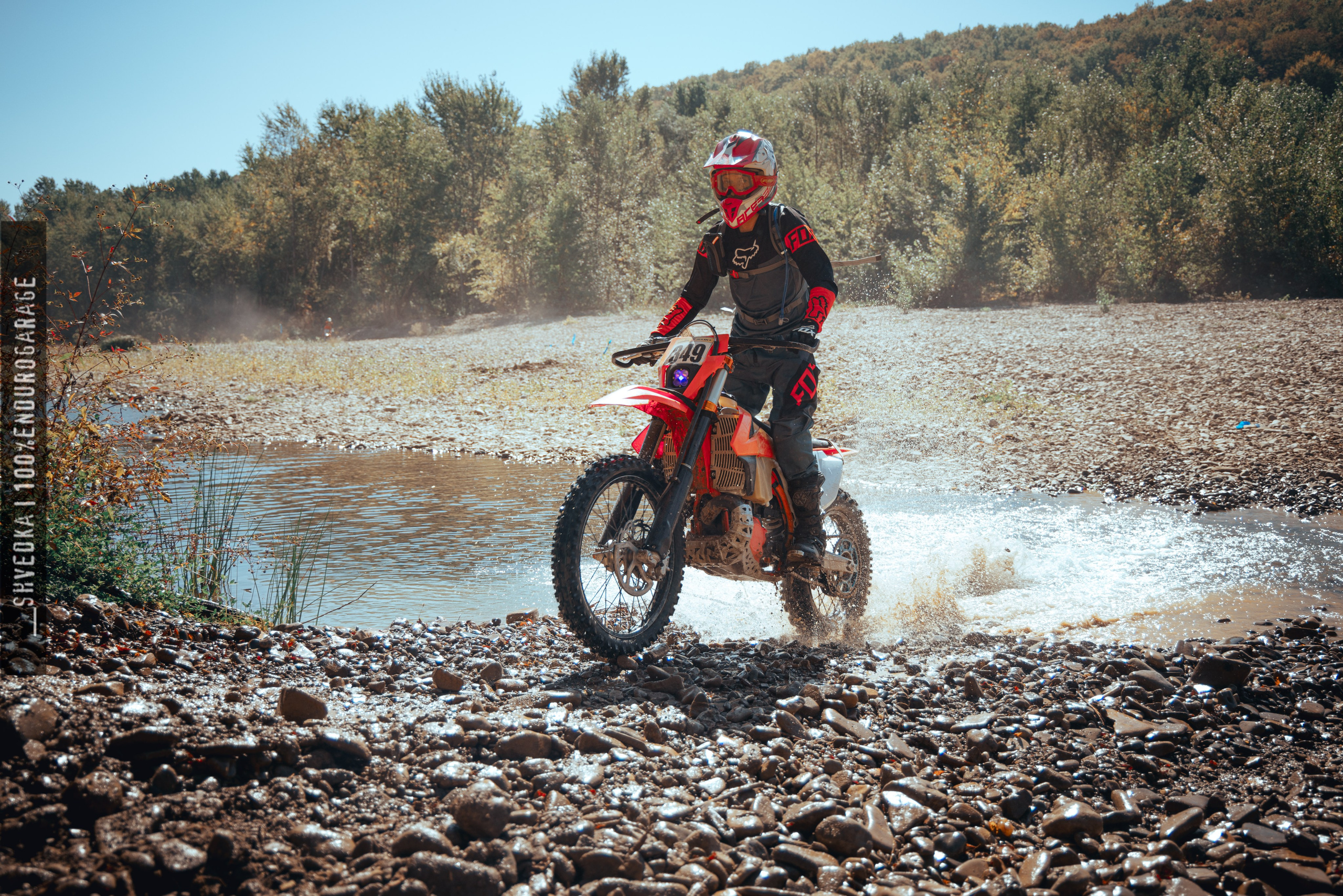 1 лесной день. Ваш экстрим фотограф Кудрева Яна