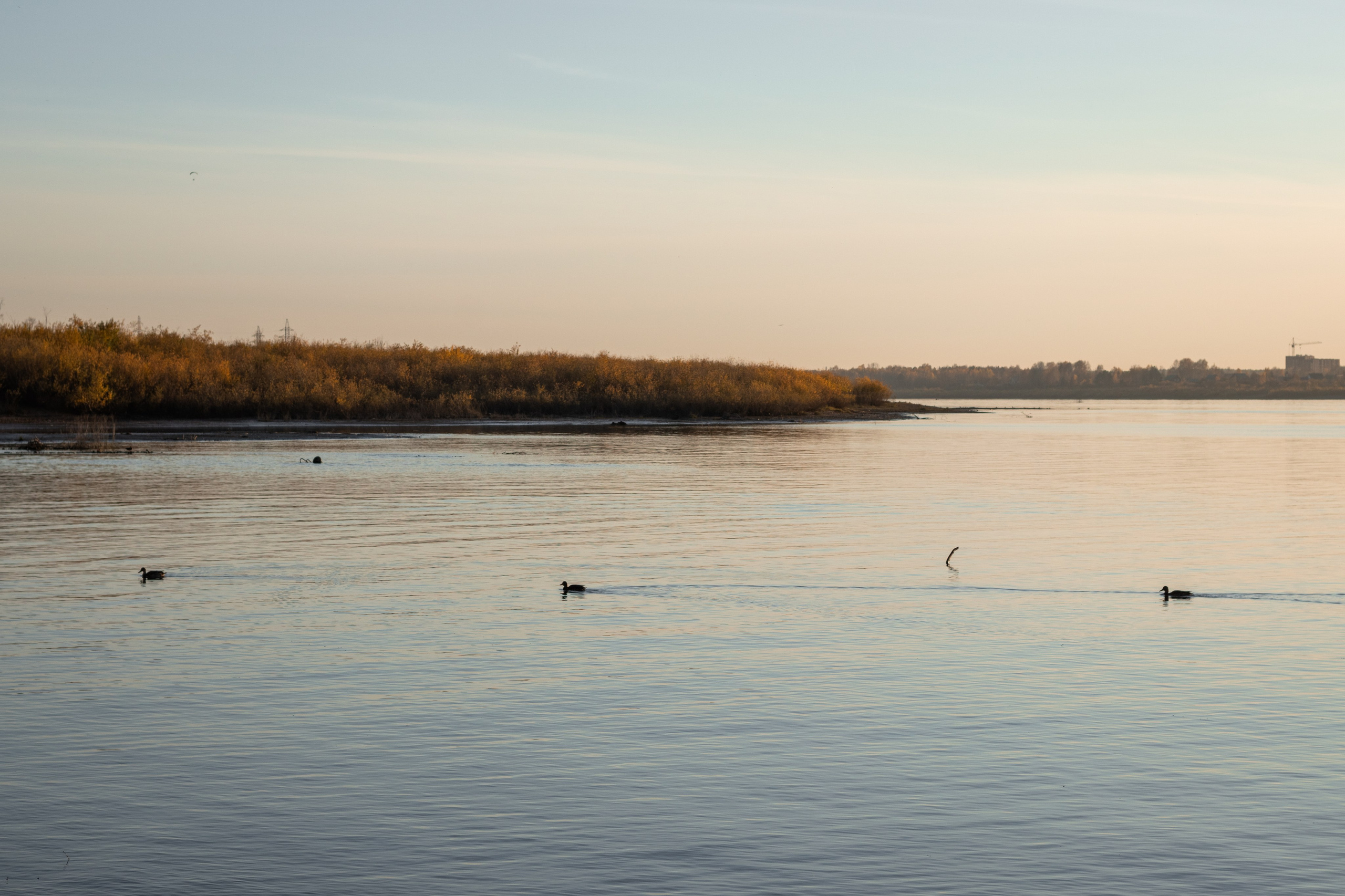 Съёмка беременной Томск. Фотосессия для беременных Томск. Фотограф в Томске Дарья Пучкина