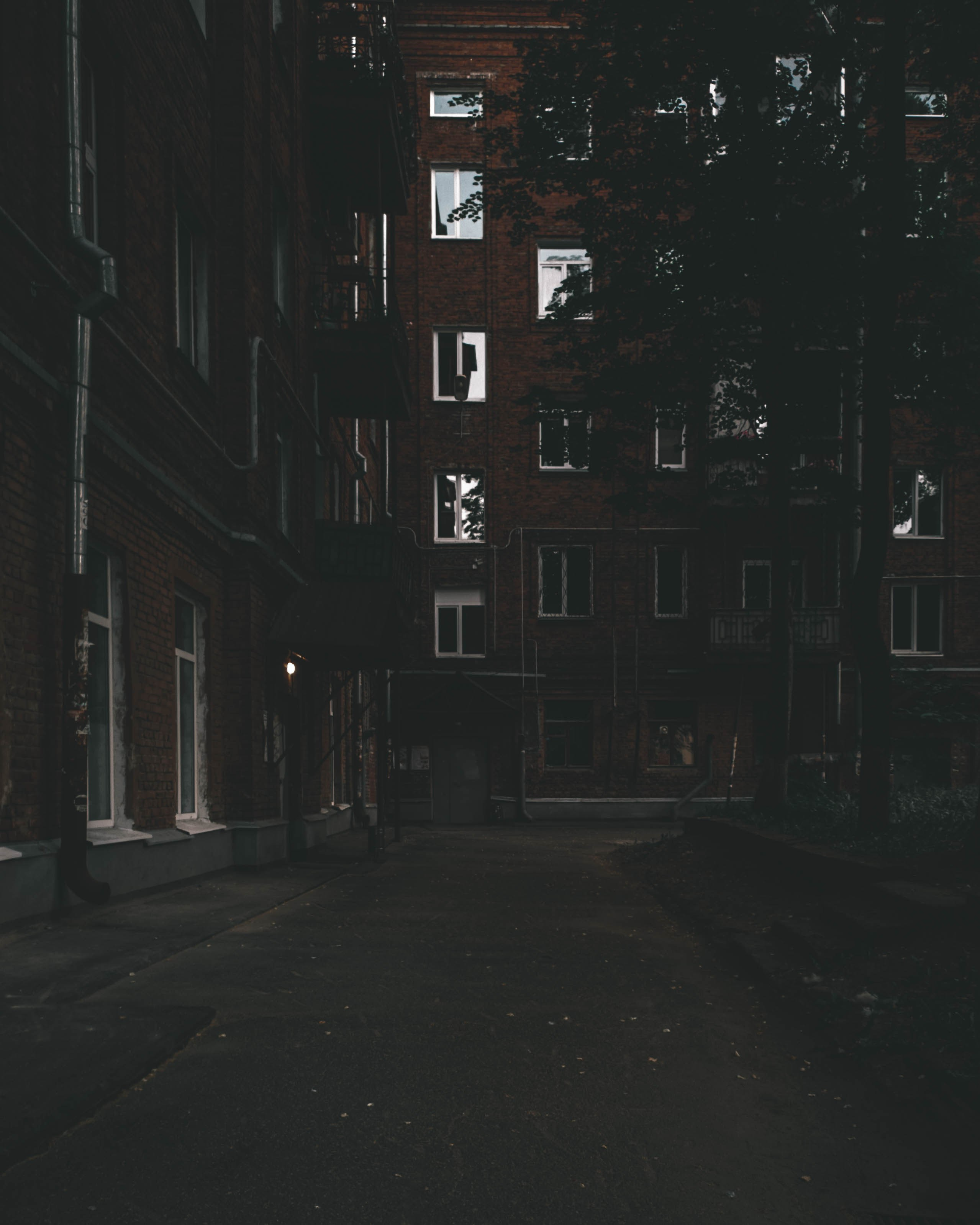 Эстетика ебеней. Олег Романов. Мастер фото по спорту