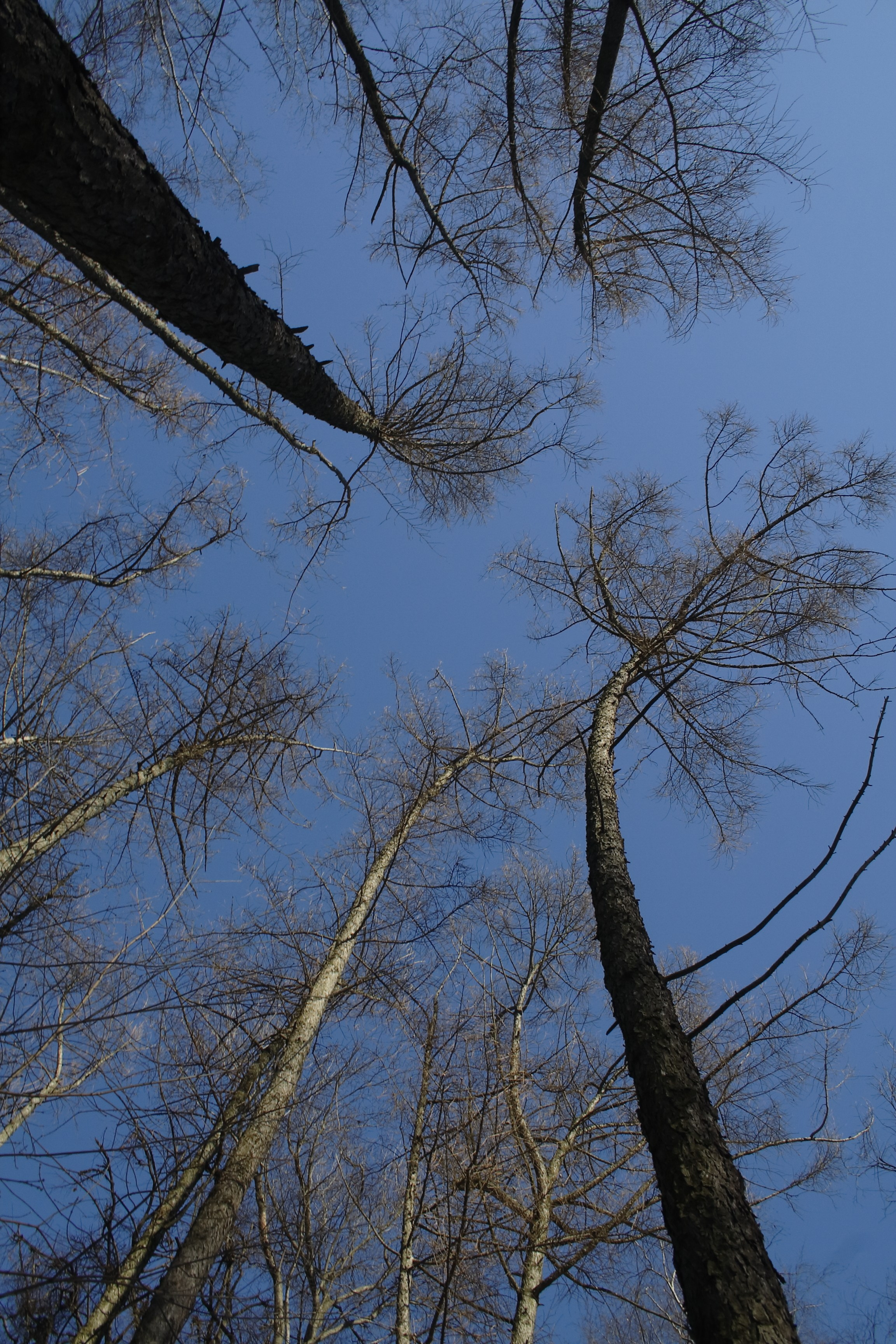 Старое природное, отбирала Katamount (Катерина Горохова). Главная