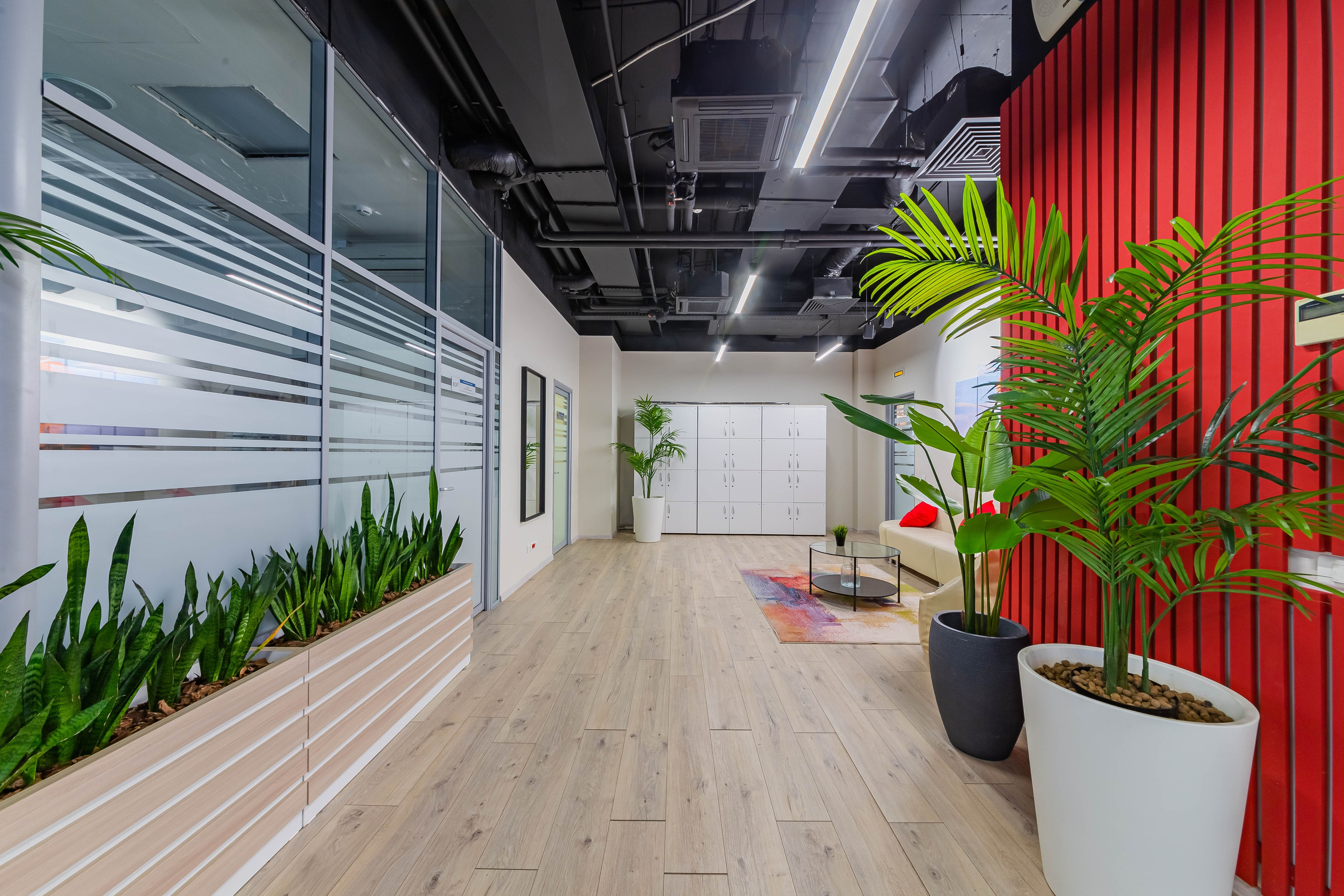 Сокол. Фотограф Лагутин Анатолий