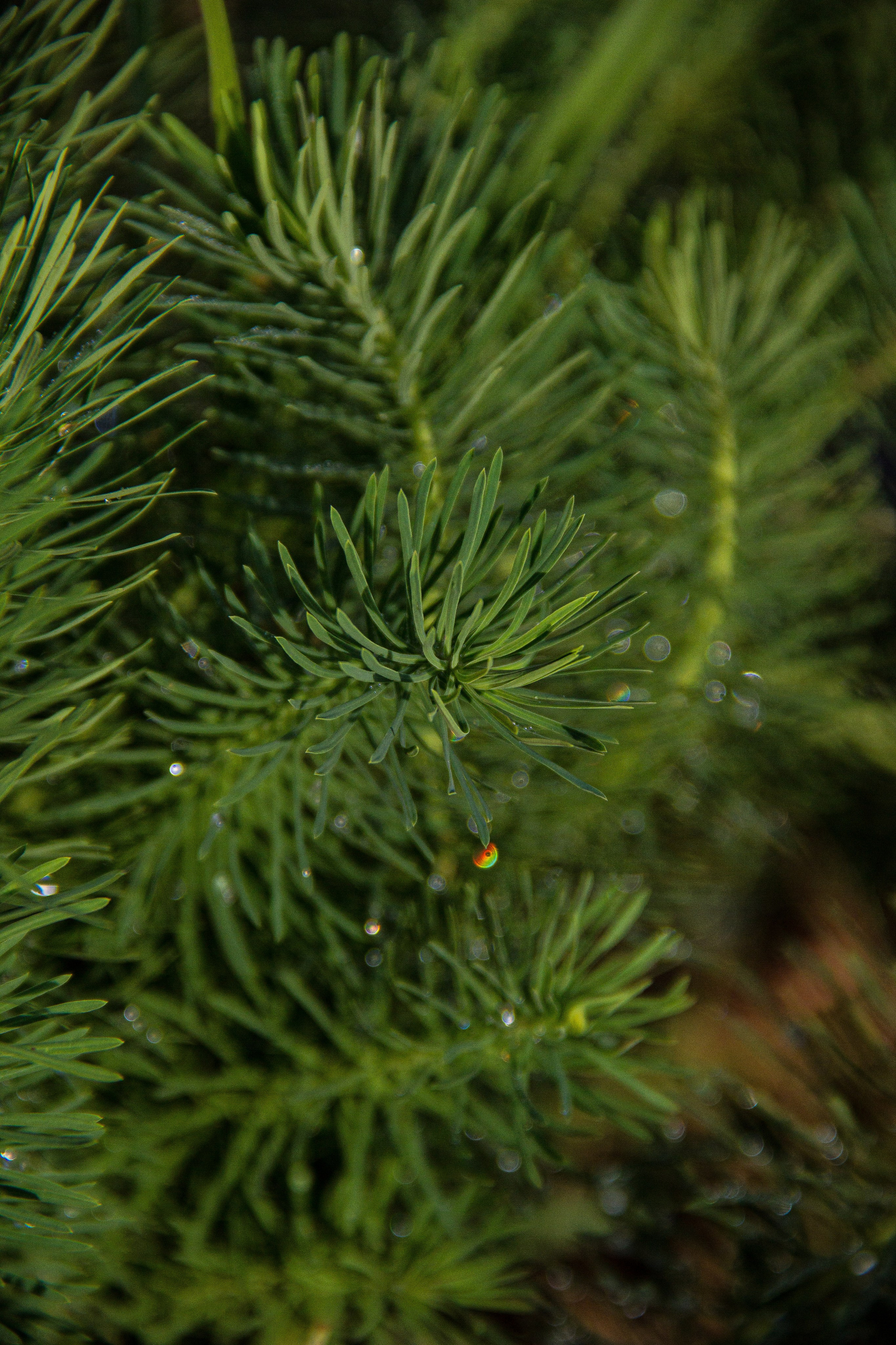Subject: в саду. Фотограф в Перми Любовь Огородова | Авторские туры