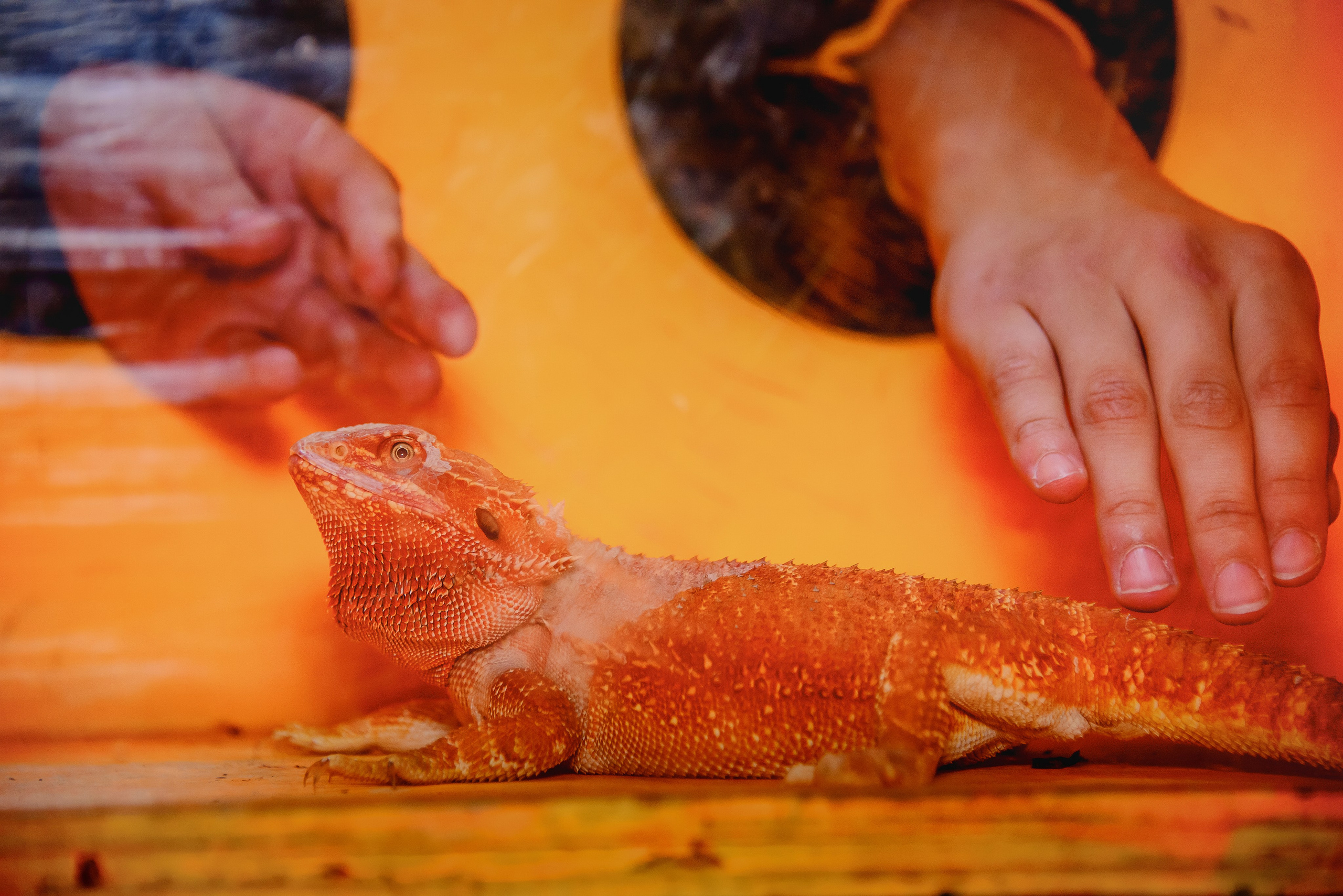 Треш-коробка. Ваш фотограф на праздник в Москве, Раменском, Жуковском, Люберцах