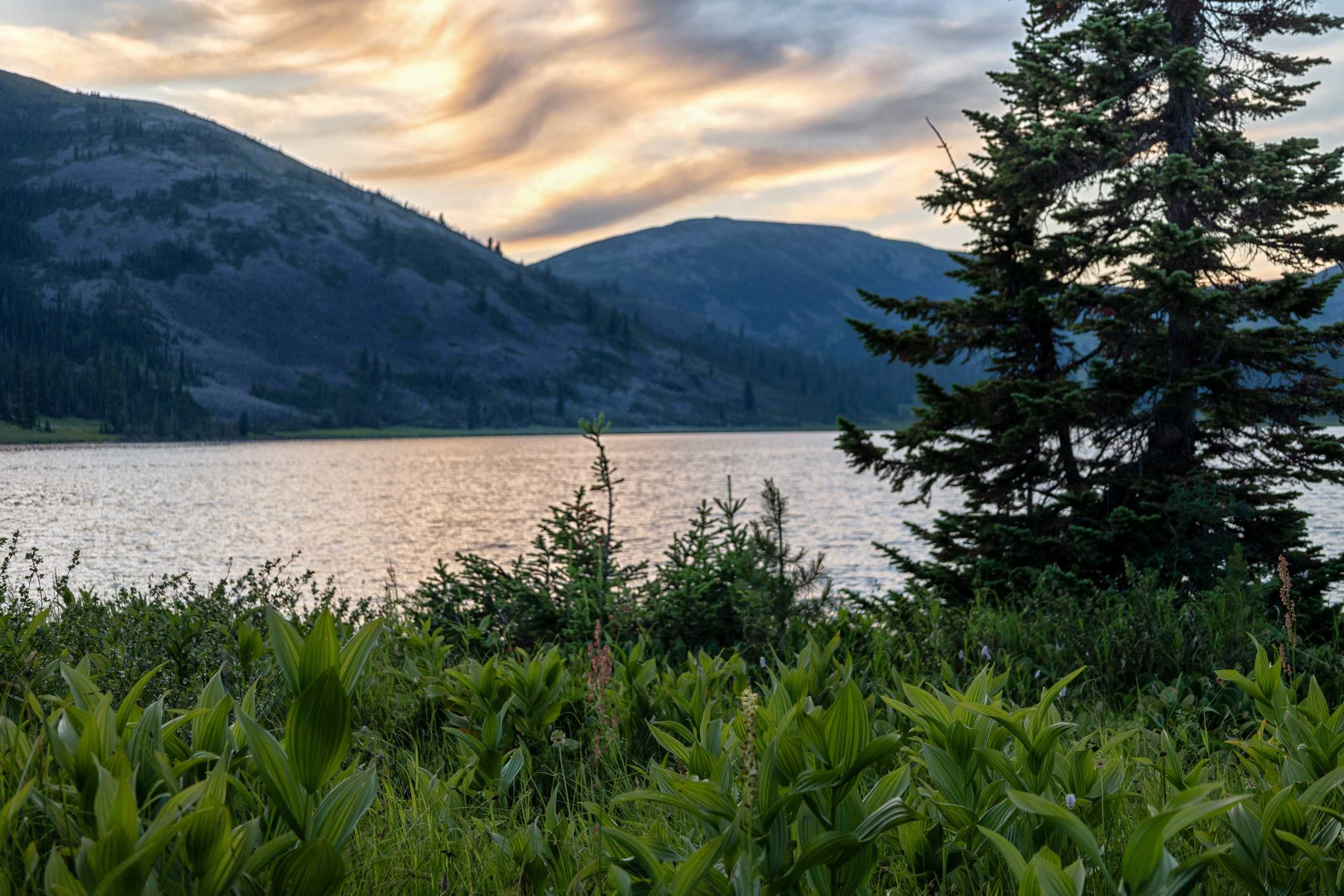 Ергаки. Семейный и детский фотограф в Красноярске, Дивногорцева Светлана