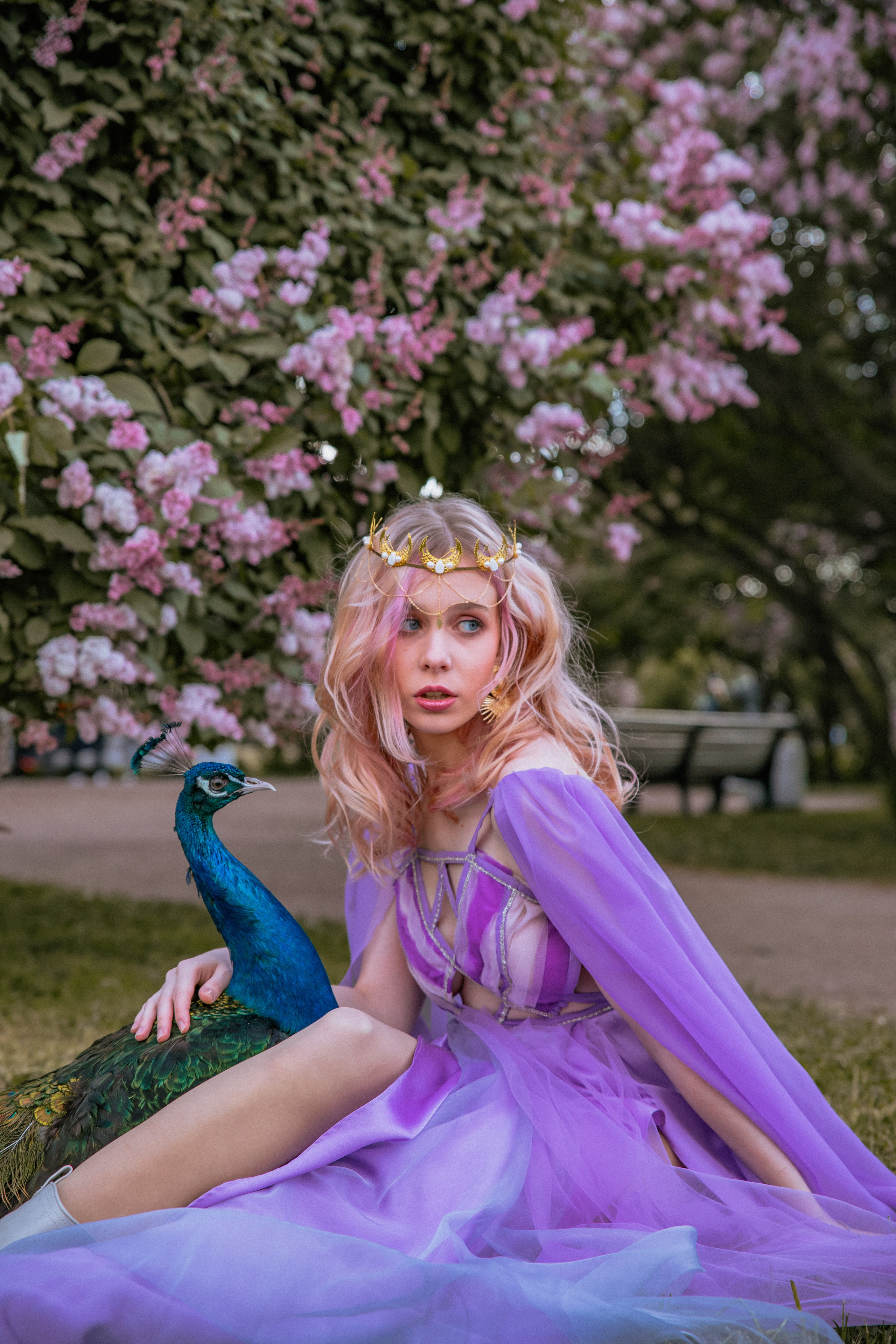 Павлин. Elena Sova — семейный и женский фотограф в Санкт-Петербурге