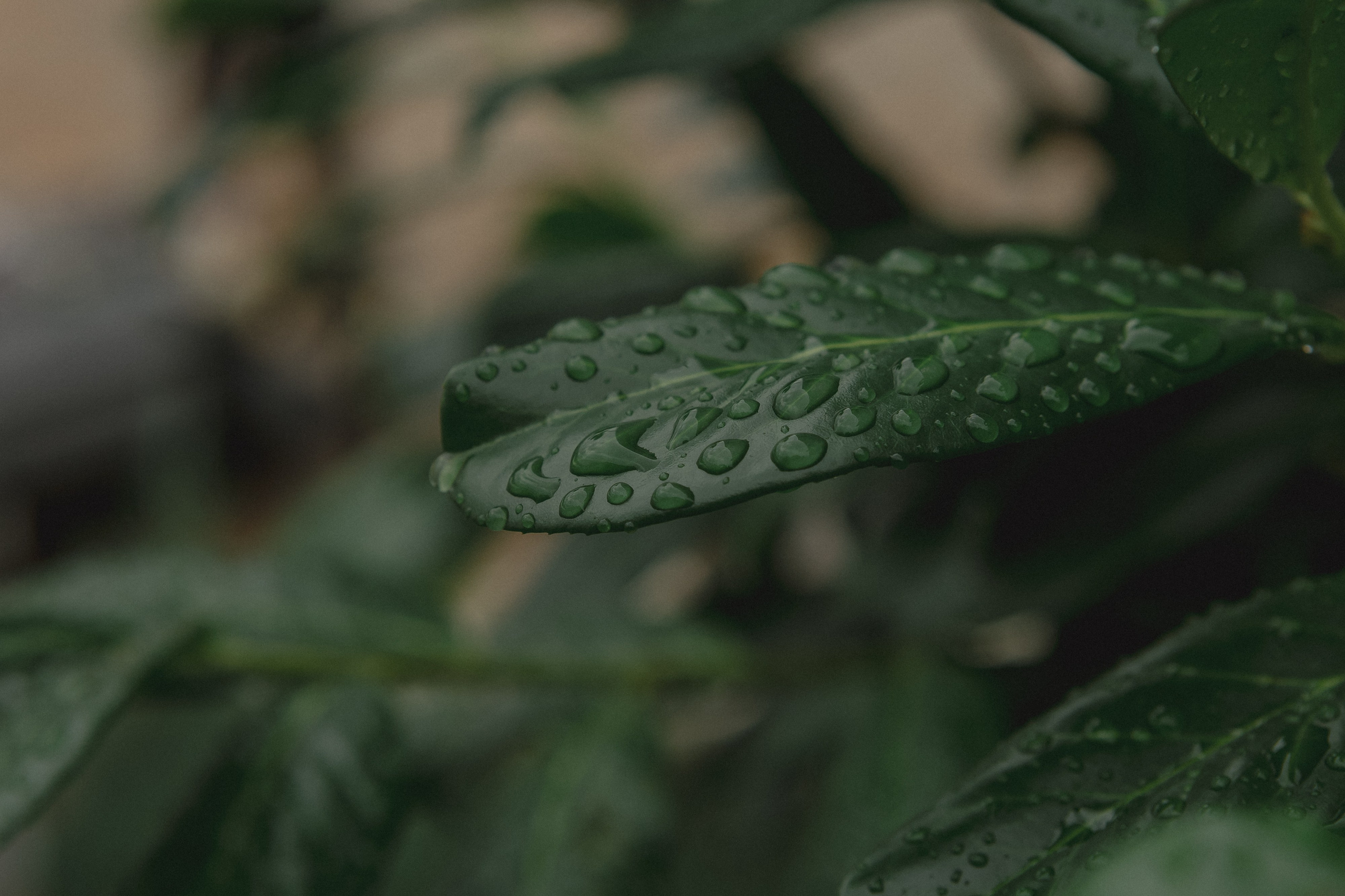 Wedding day Алексей + Аня. Свадебный фотограф Колесников Антон