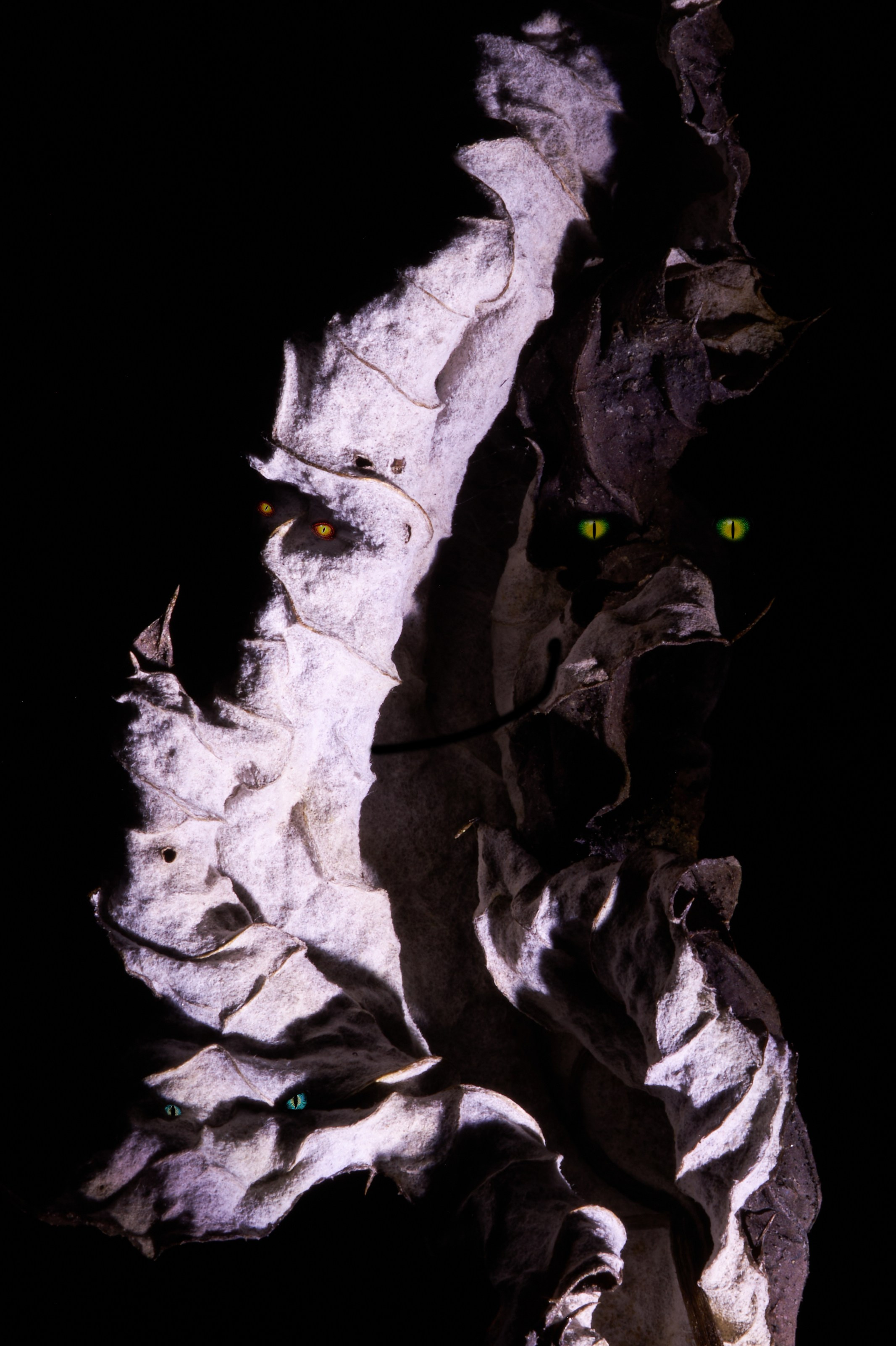 Милые Монстры или Тёмная Сторона. Репортажный Фотограф во Владивостоке и России Осипчук Дмитрий