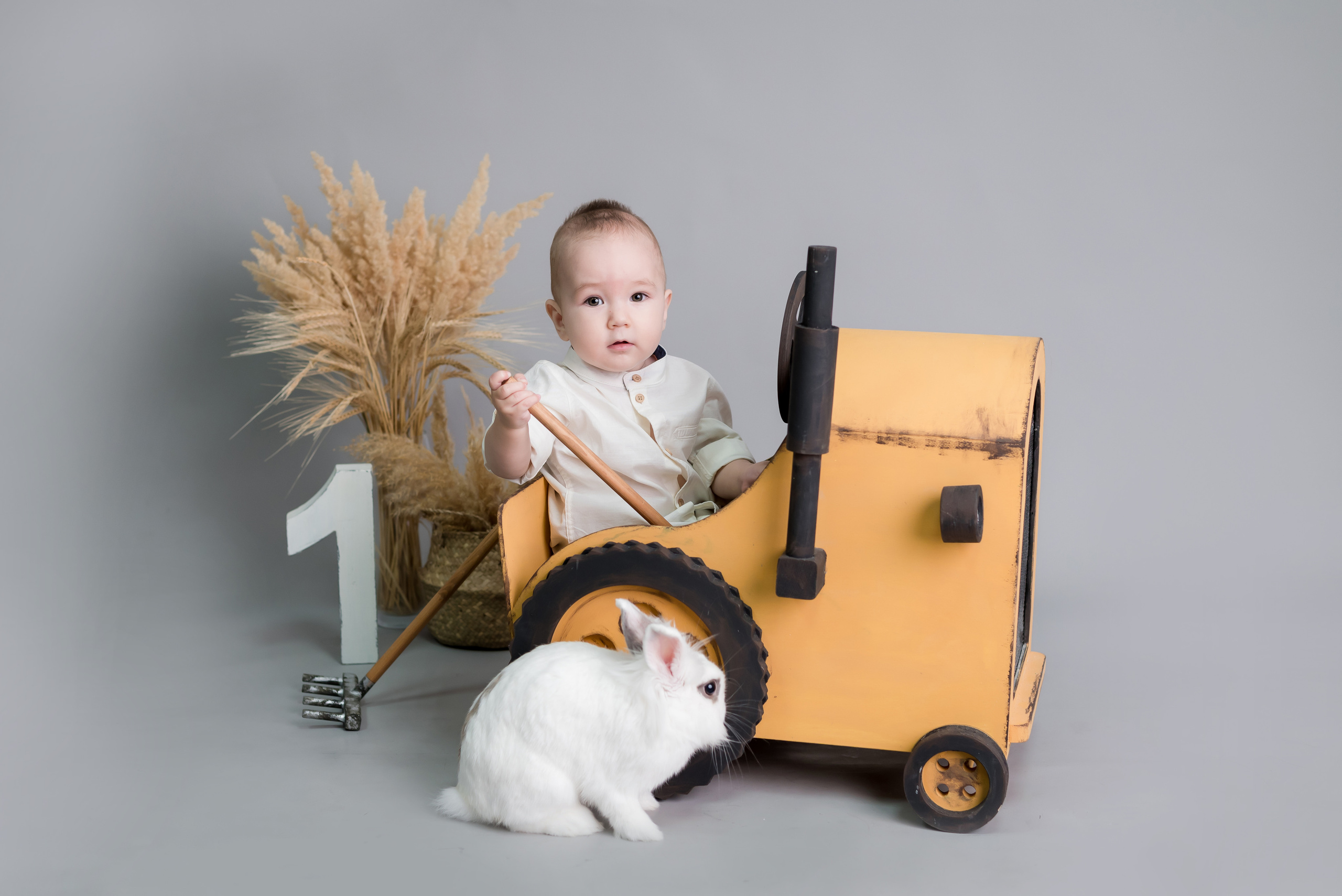 Годовасие «One». Фотограф новорождённых в Уфе Елена Кириллова