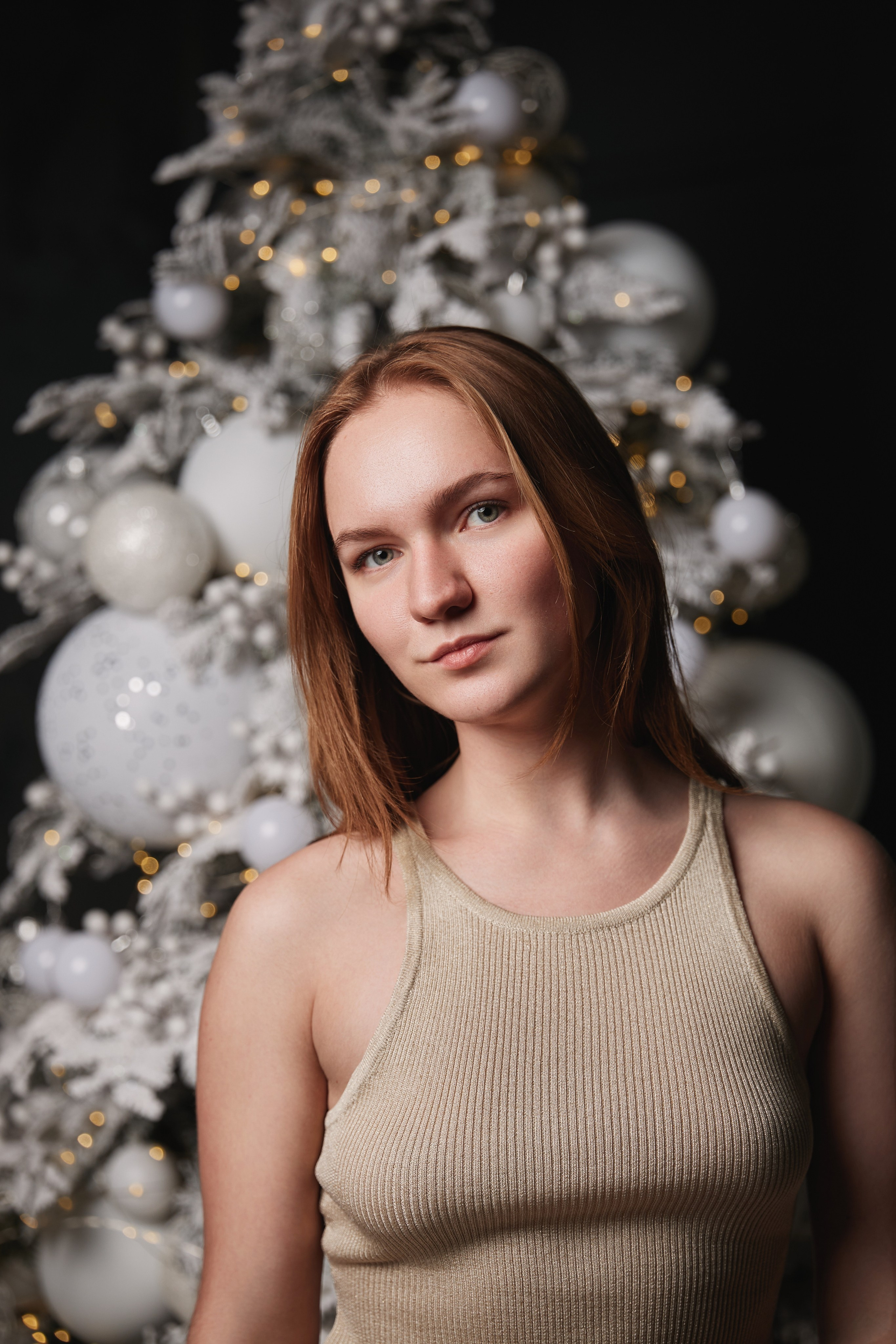 Новогодняя. Фотограф и видеограф в Кургане Леонид Корнильев