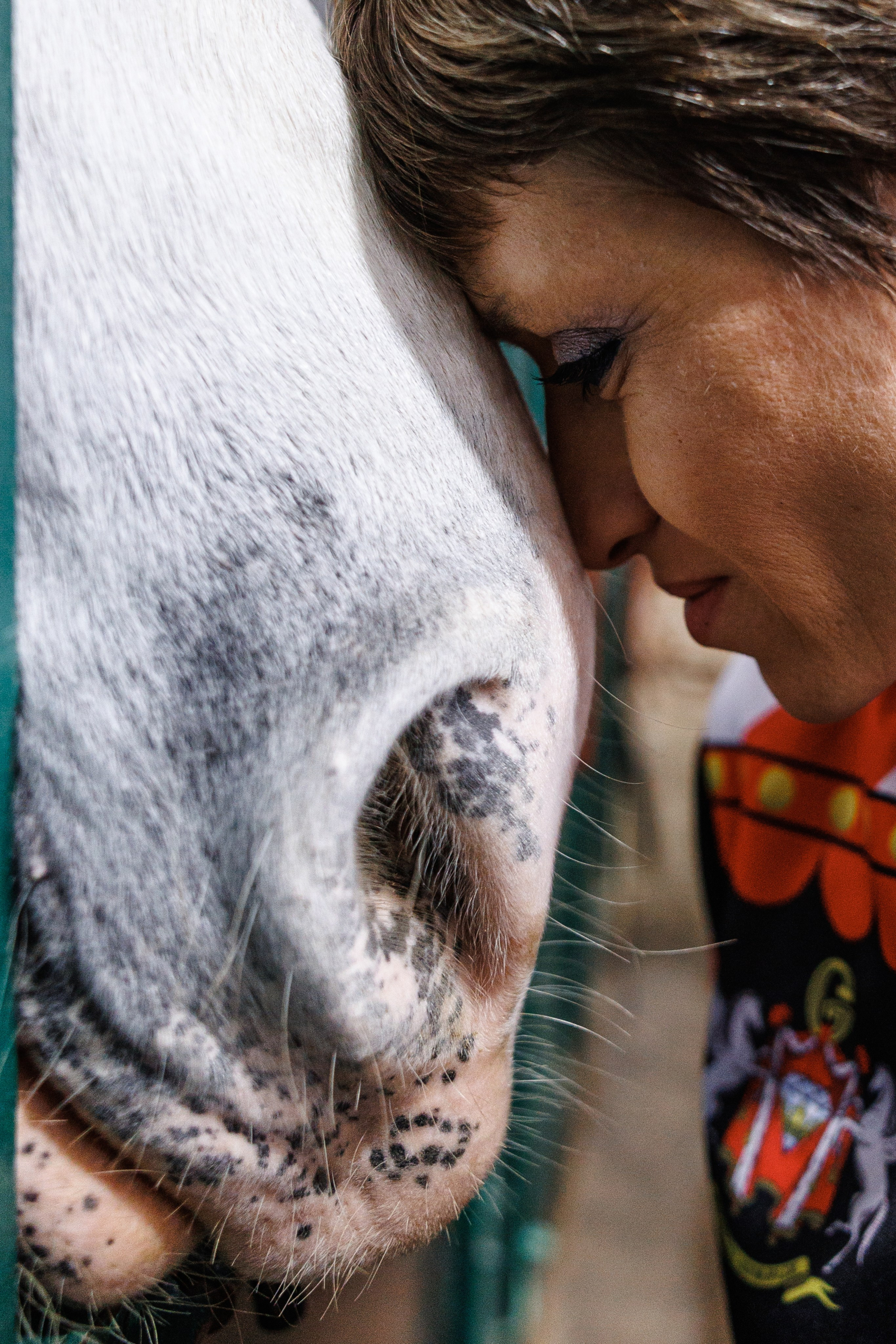 Цирк «Песчаная Сказка». Фотограф Ставрополь Петр Голубенко