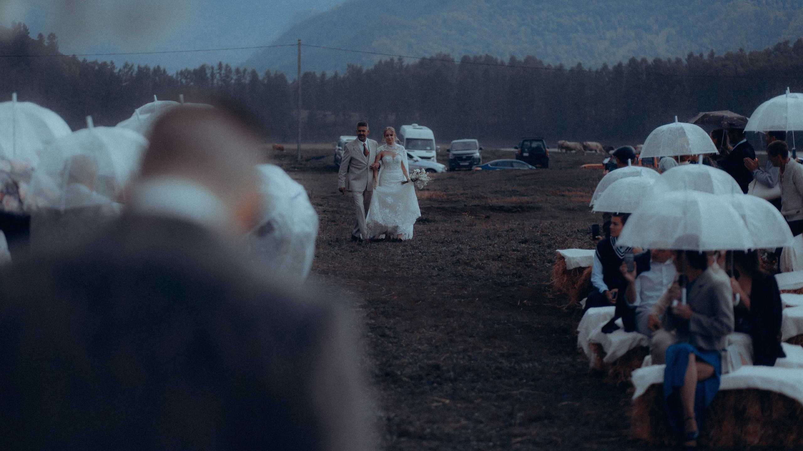 Мульта. Свадебный фотограф Артак Костанян