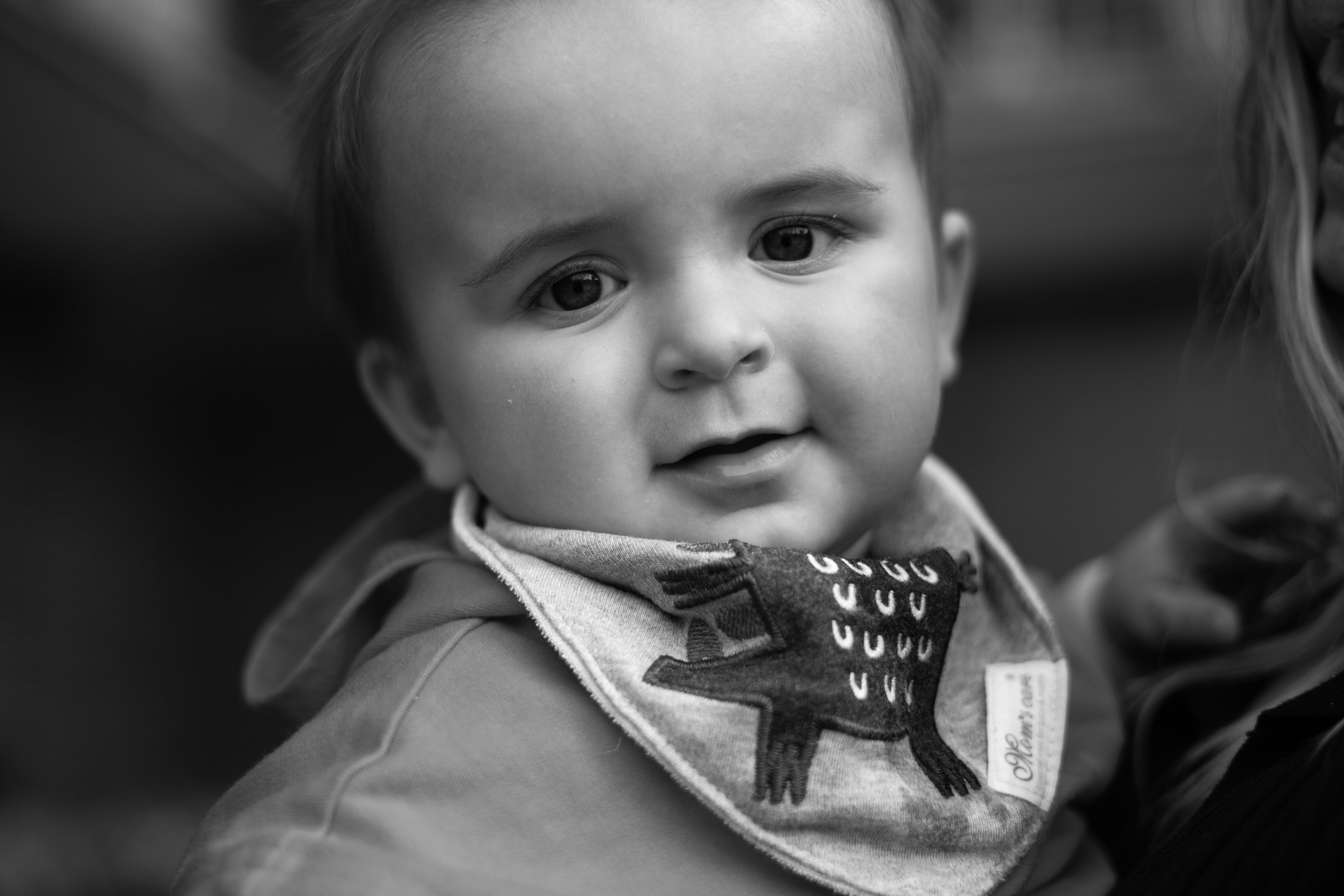 Masha and Timur. Wedding Photographer in Barcelona and Medellin