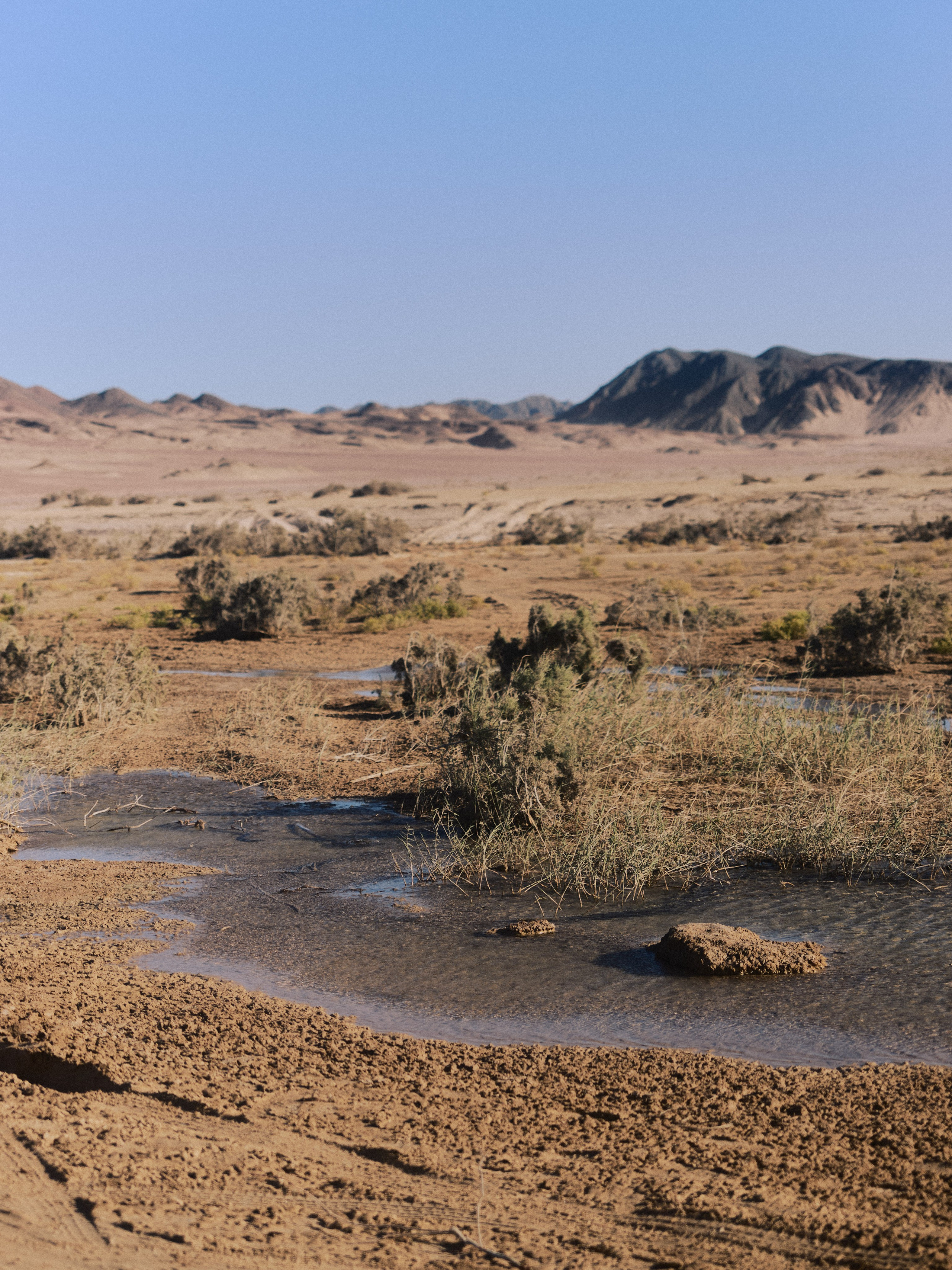 Природа. Jorgis Talè — photographer, kind person, teacher of arts and other mag