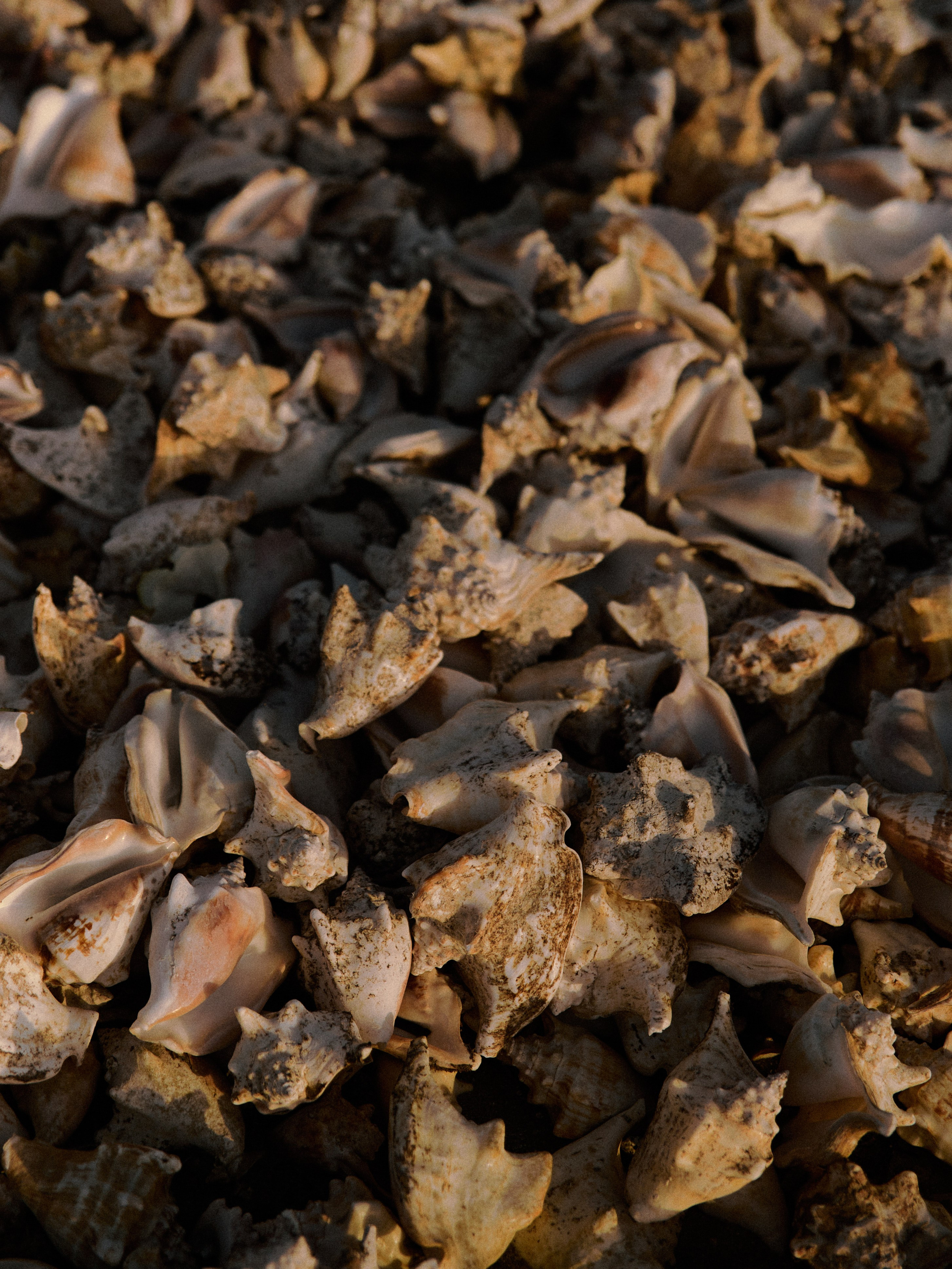 Другое 2. Jorgis Talè — photographer, kind person, teacher of arts and other mag