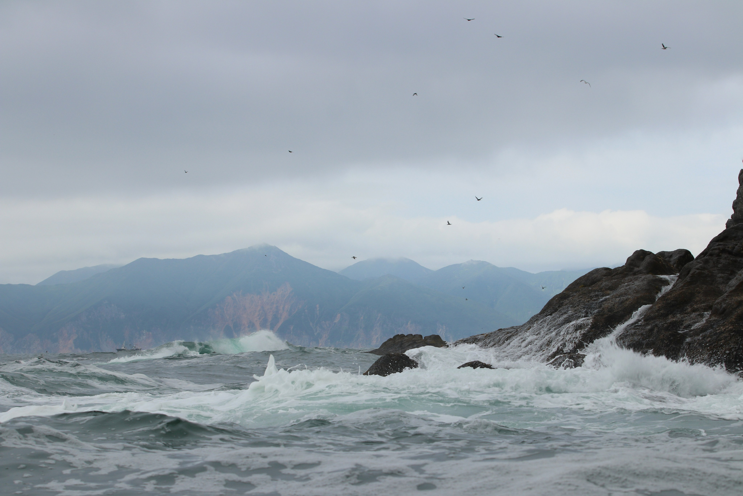 Камчатка и о. Парамушир. Июль 2024. Путешественник-фотограф из Санкт-Петербурга Татьяна Свистулина