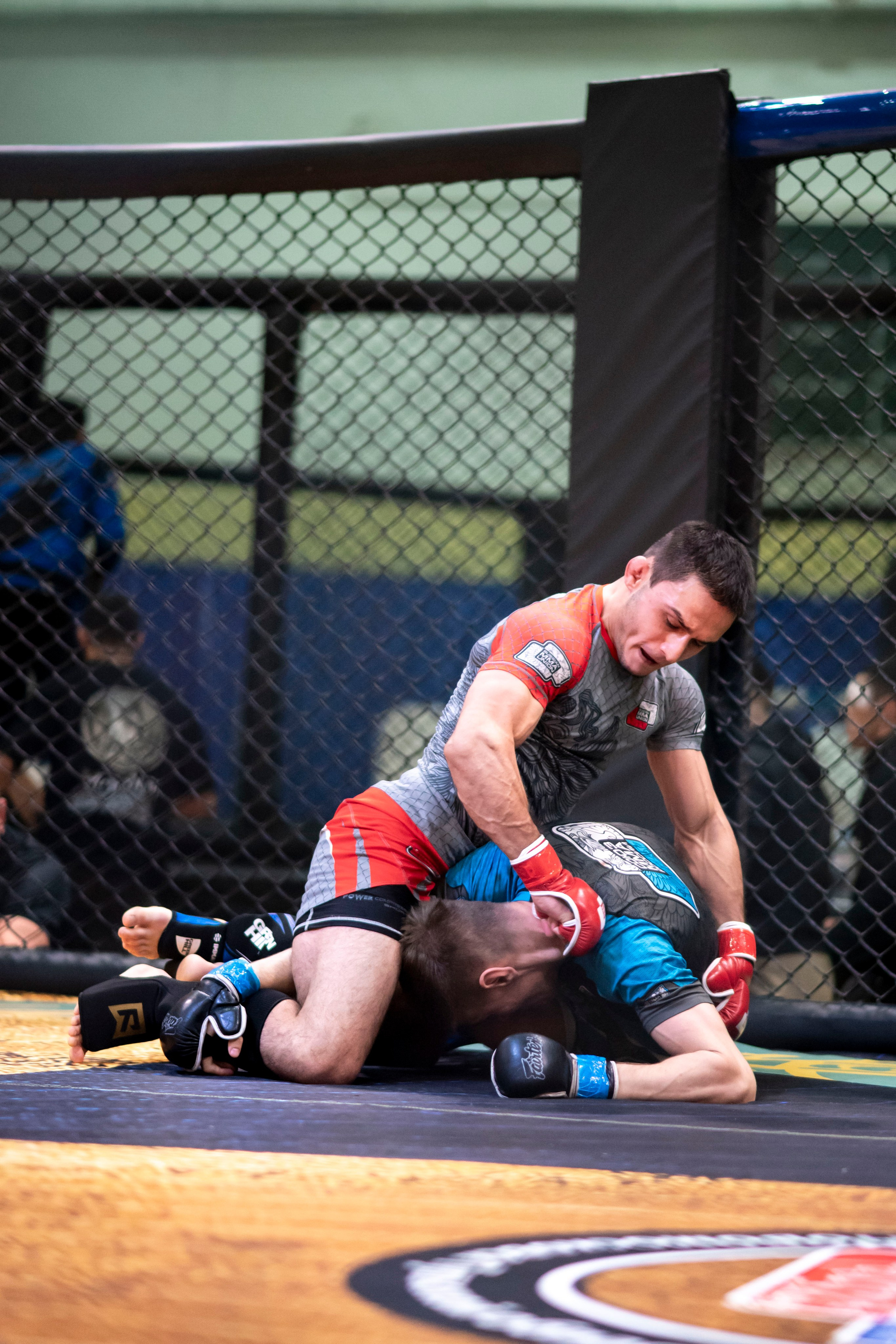 Всероссийский турнир ММА. Новомосковск, ноябрь 2025. Спортивный фотограф в Туле и Тульской области. Файсханова Фото Спорт