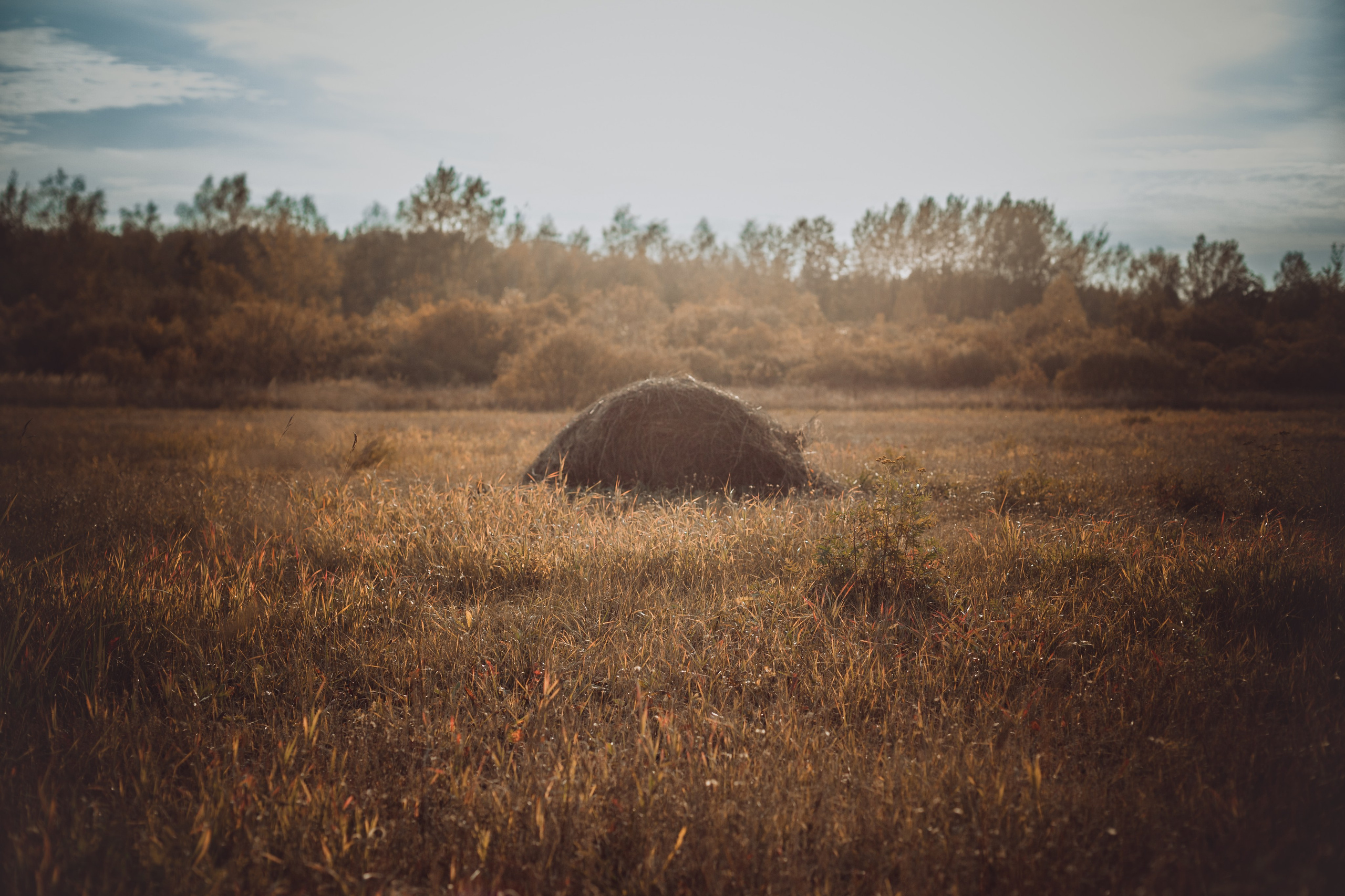 Кантри Дюк. Фотограф-анималист Татьяна Степанова