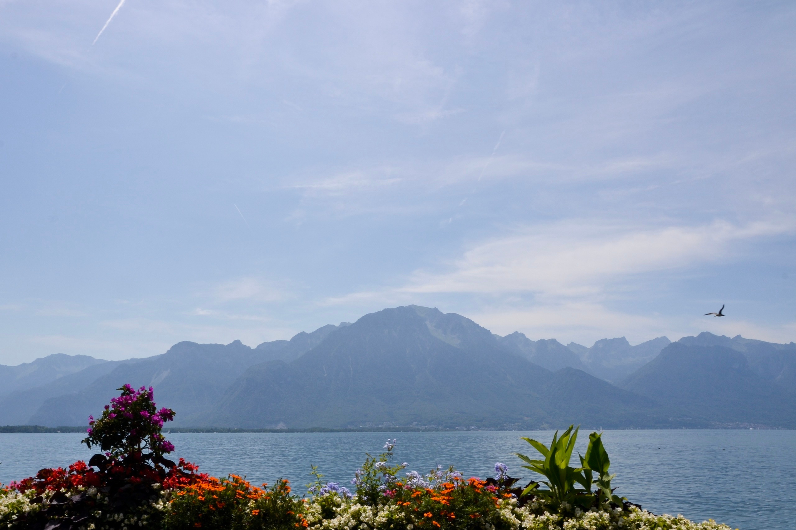 Switzerland. Mariya Biryukova