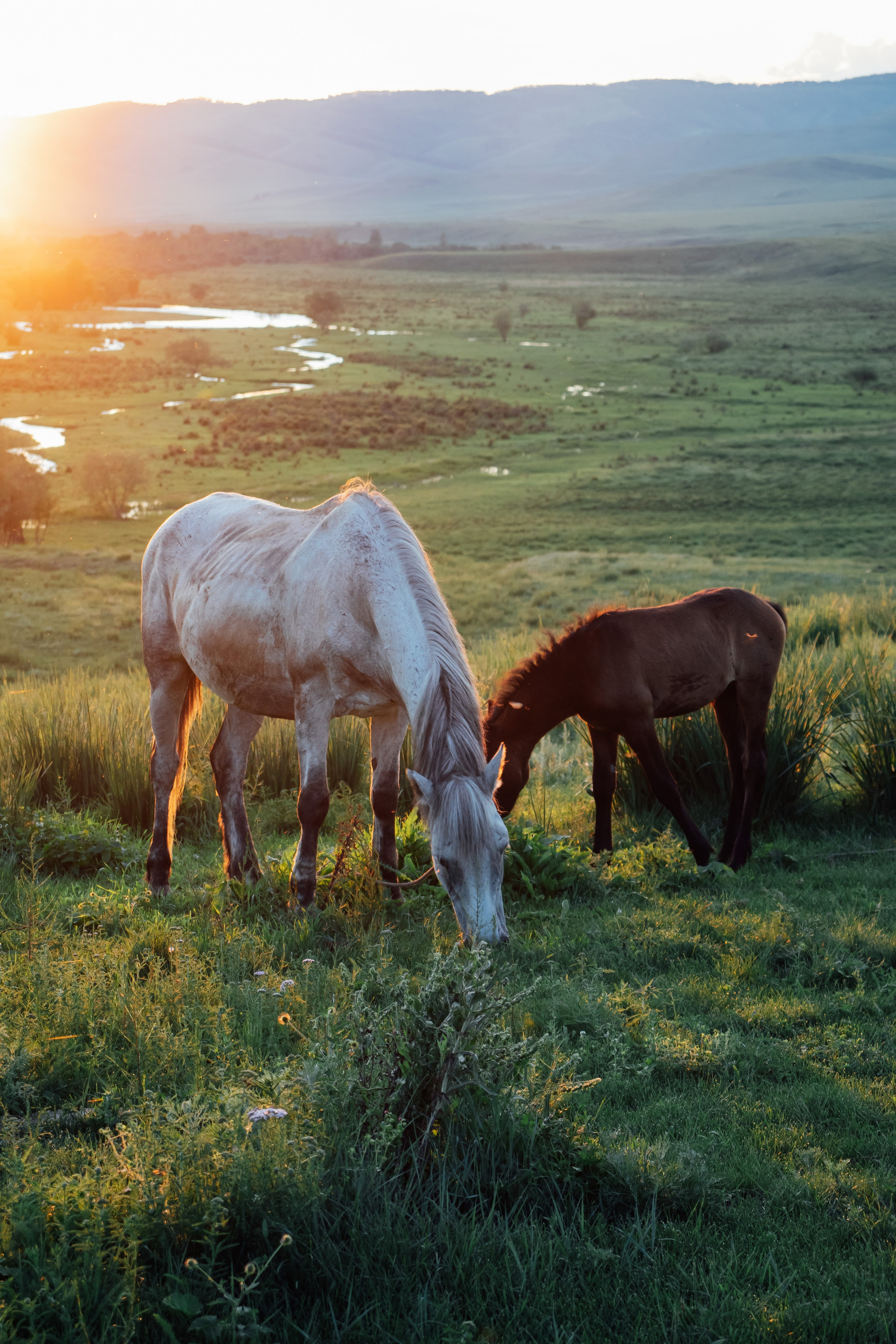 Хакасия. Фотограф из Хакасии Элина Кичеева