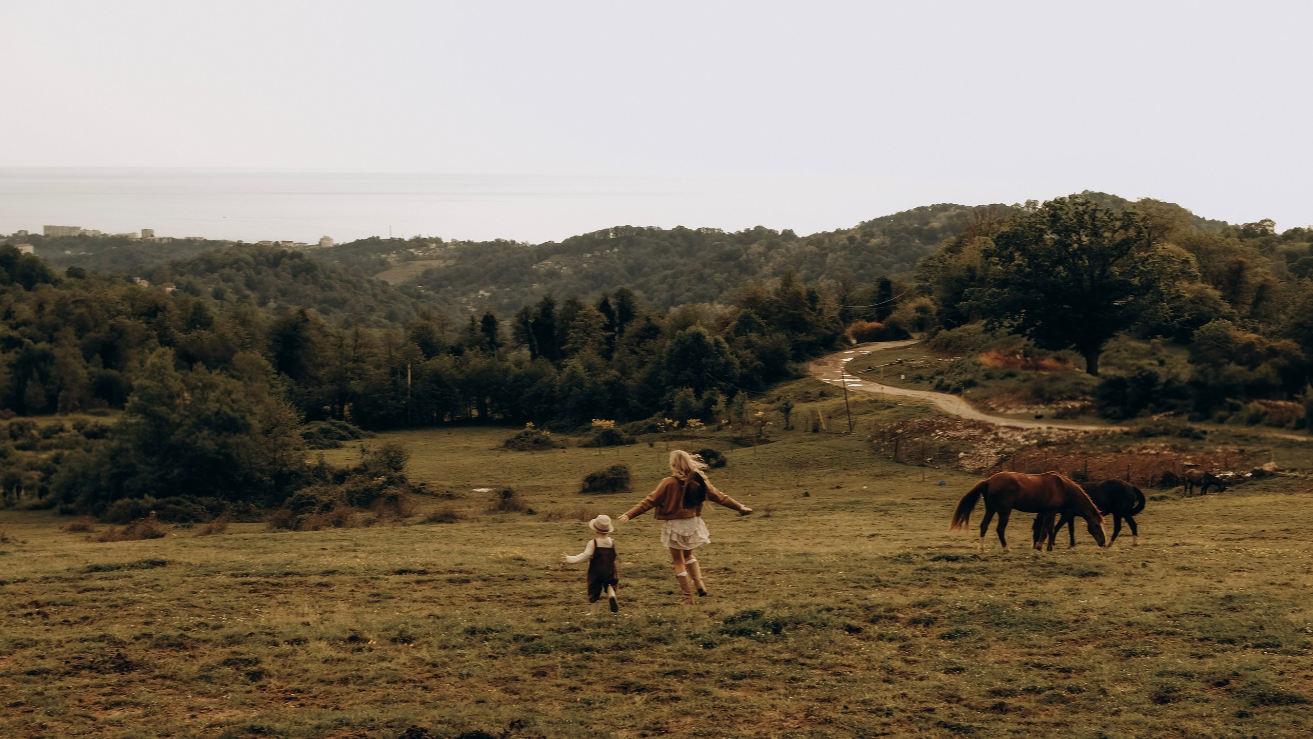 Конюшня. Главная