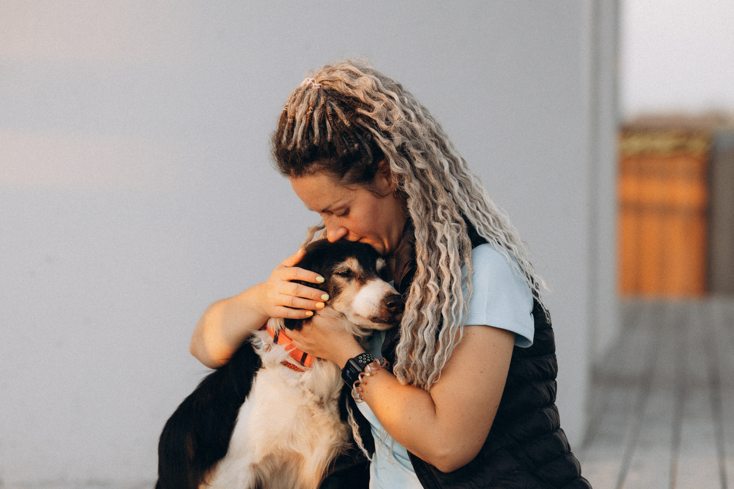 Алла и ее компания. Фотограф анималист в Казани Алина Сулейманова. Фотограф животных