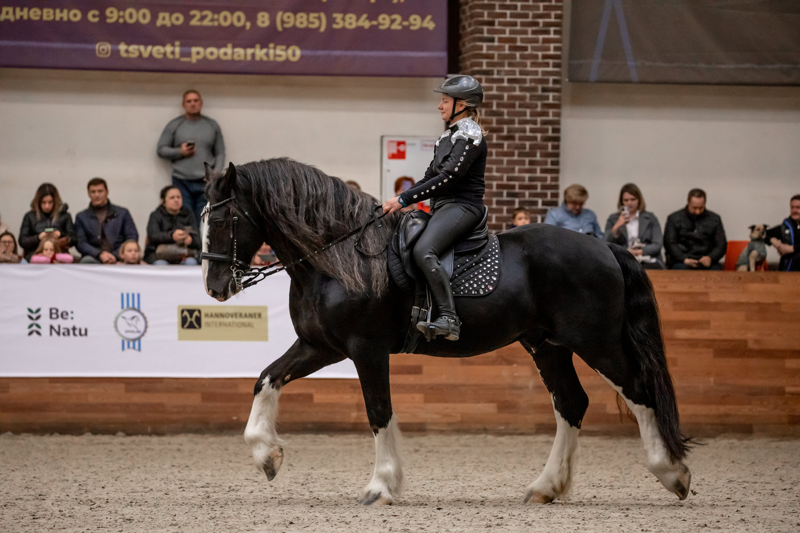 Конные выставки. Mrs.Aquarelia Конный фотограф Марианна Леонтьева