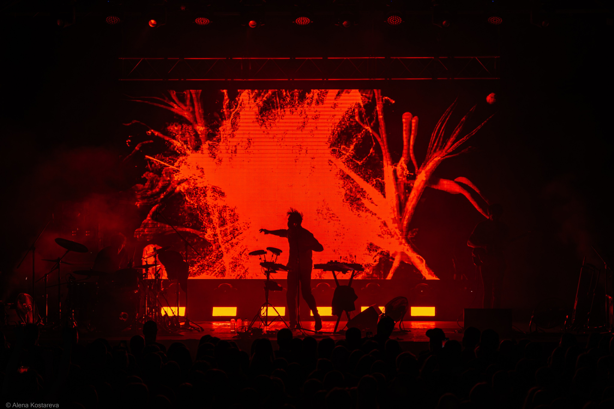 Dolphin. Алена Костарева. Фотограф в Ростове-на-Дону