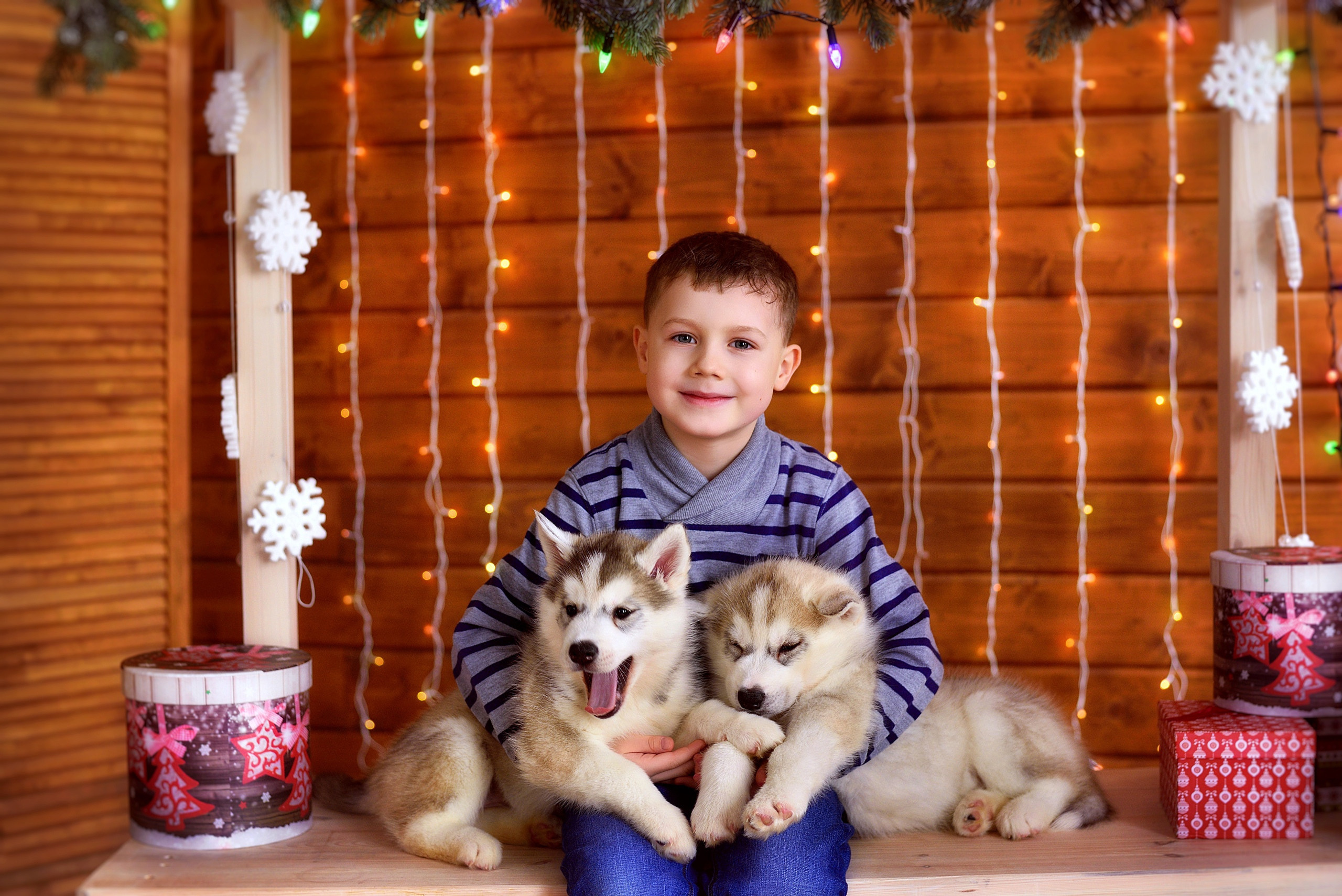 Новогодние фотосессии «Зимняя сказка 2023-2024». Свадебный и семейный фотограф в Липецке Натали Бриз