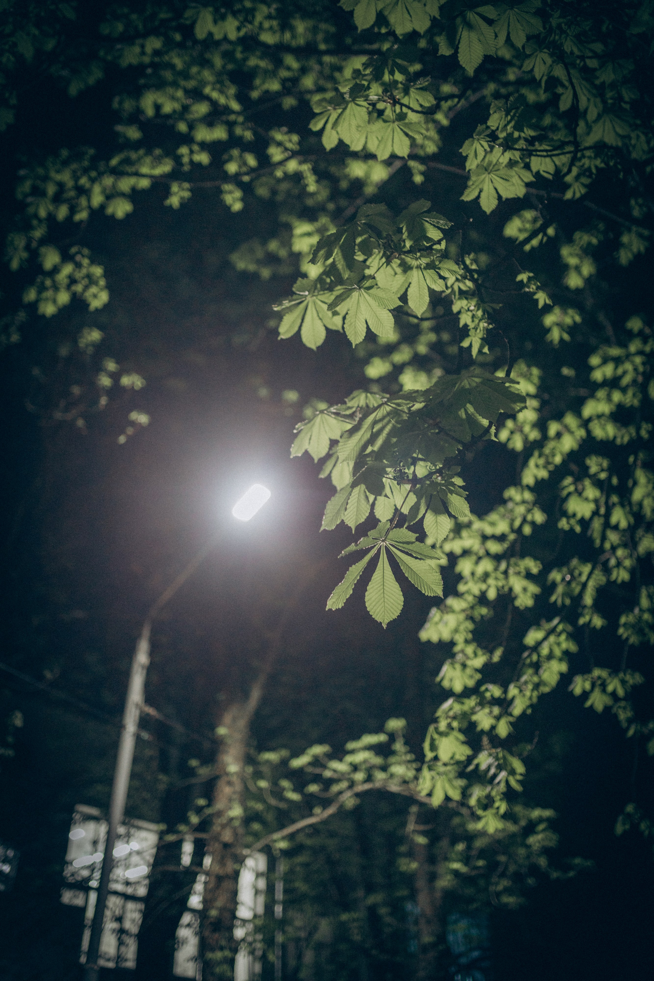 Рождение Радомира. Семейный фотограф и фотограф на роды в Ростове-на-Дону Мухина Виктория