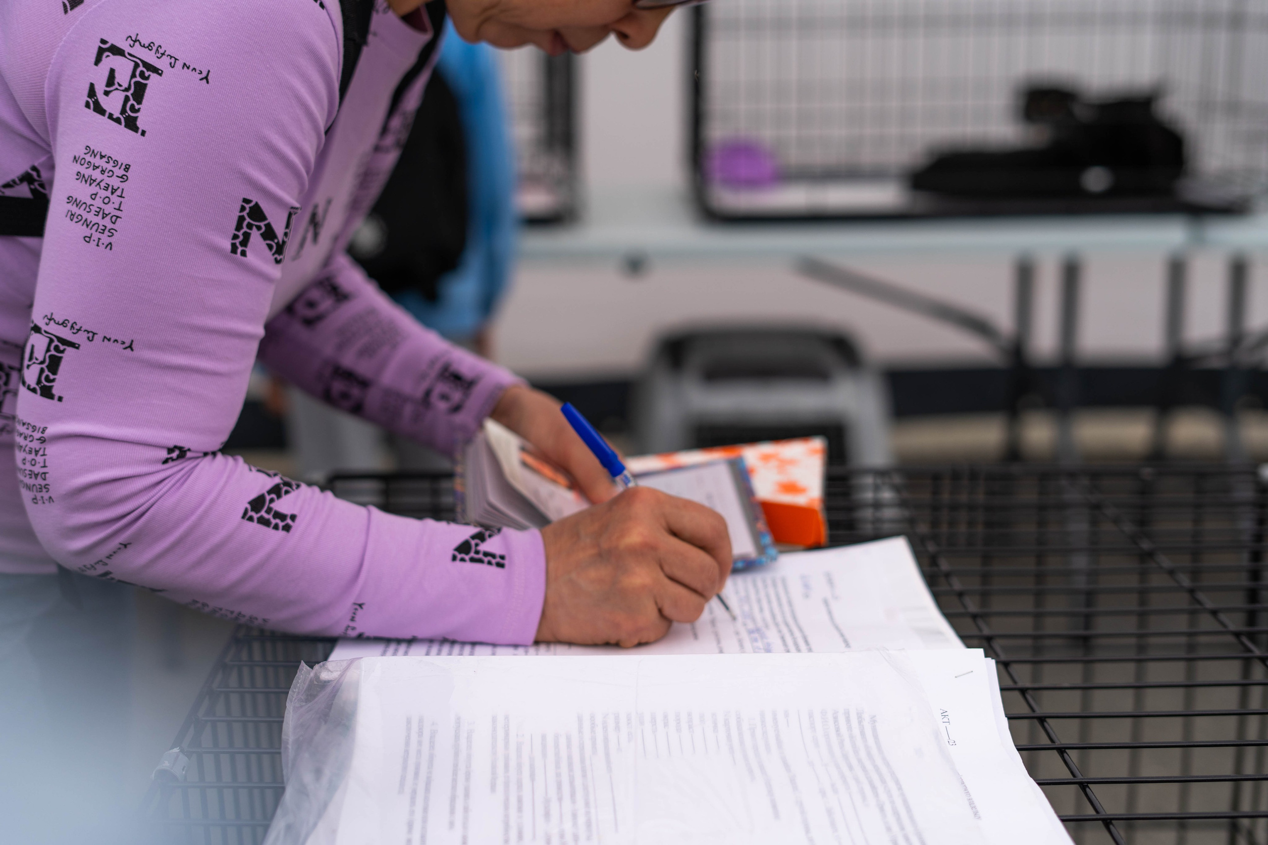 Проект «Бери домой». Фотограф Екатерина Зорина