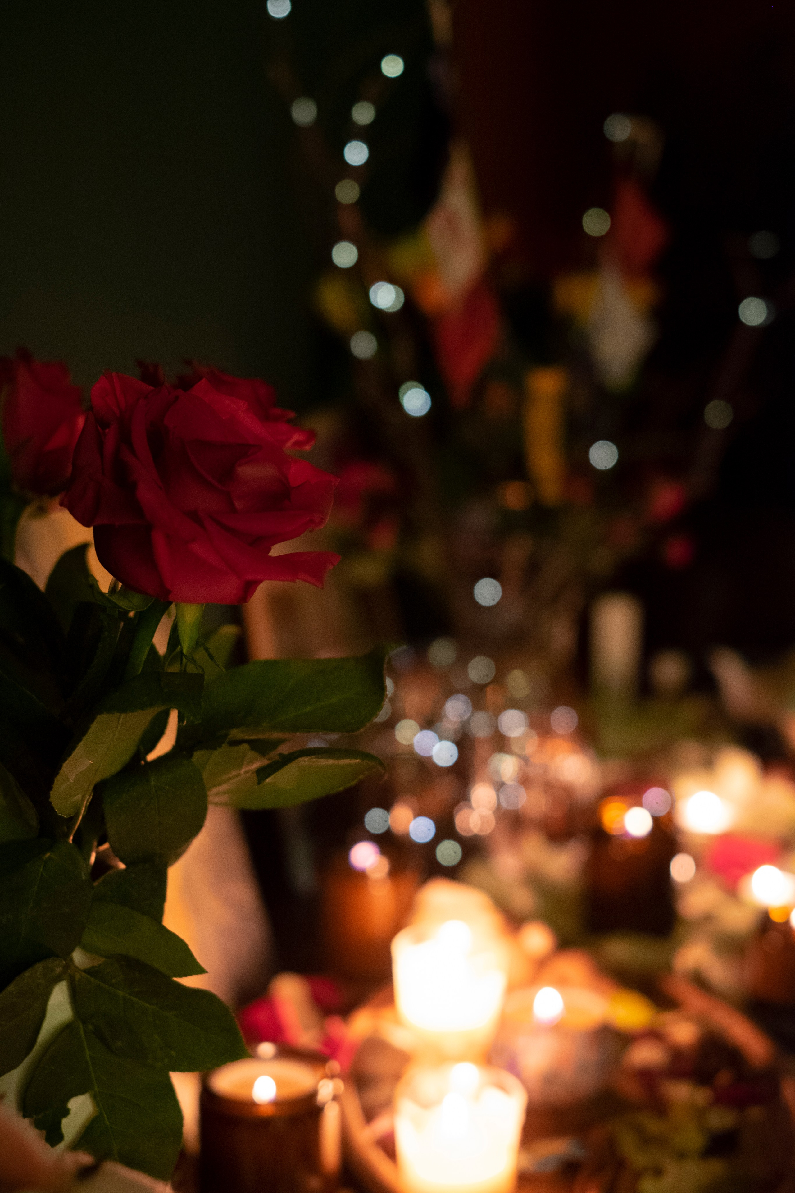 Фотограф в Раменском, фотостудия в Раменском. Фототерапия «Пульс СЧАСТЬЯ»