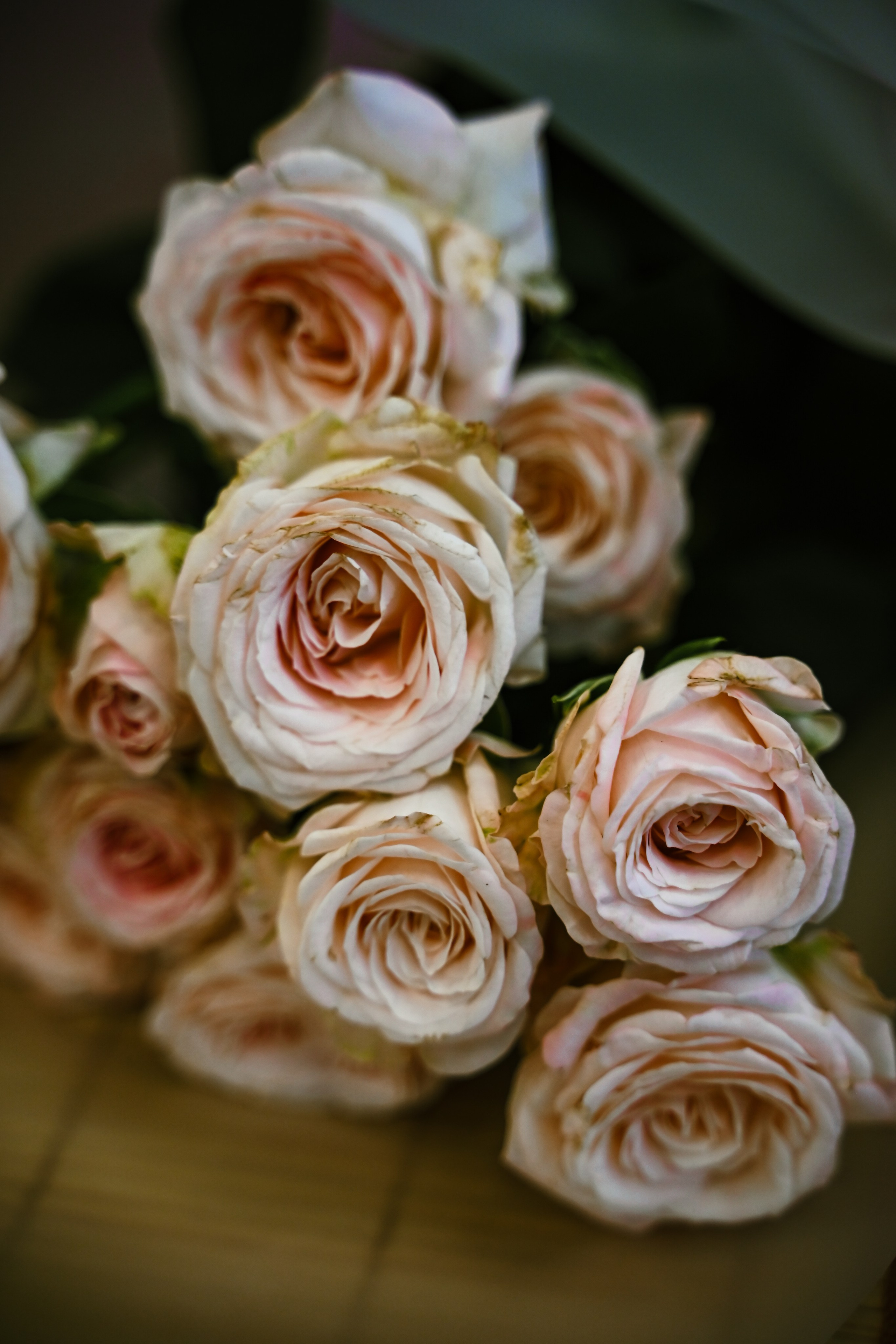 Танцы. Открытый урок. Фотограф в Санкт-Петербурге