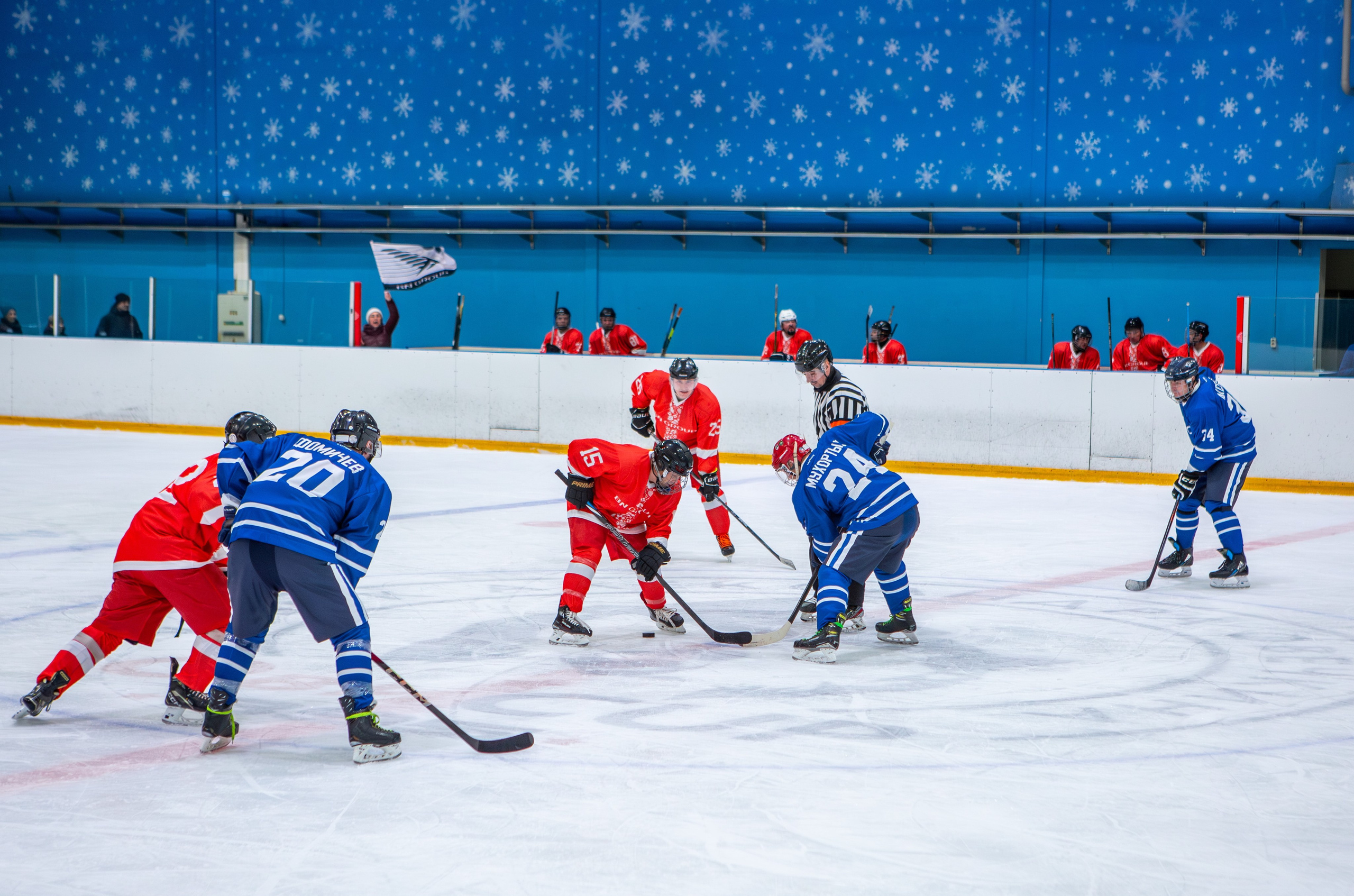 Чемпионат по хоккею. Репортажный, семейный, свадебный, портретный фотограф