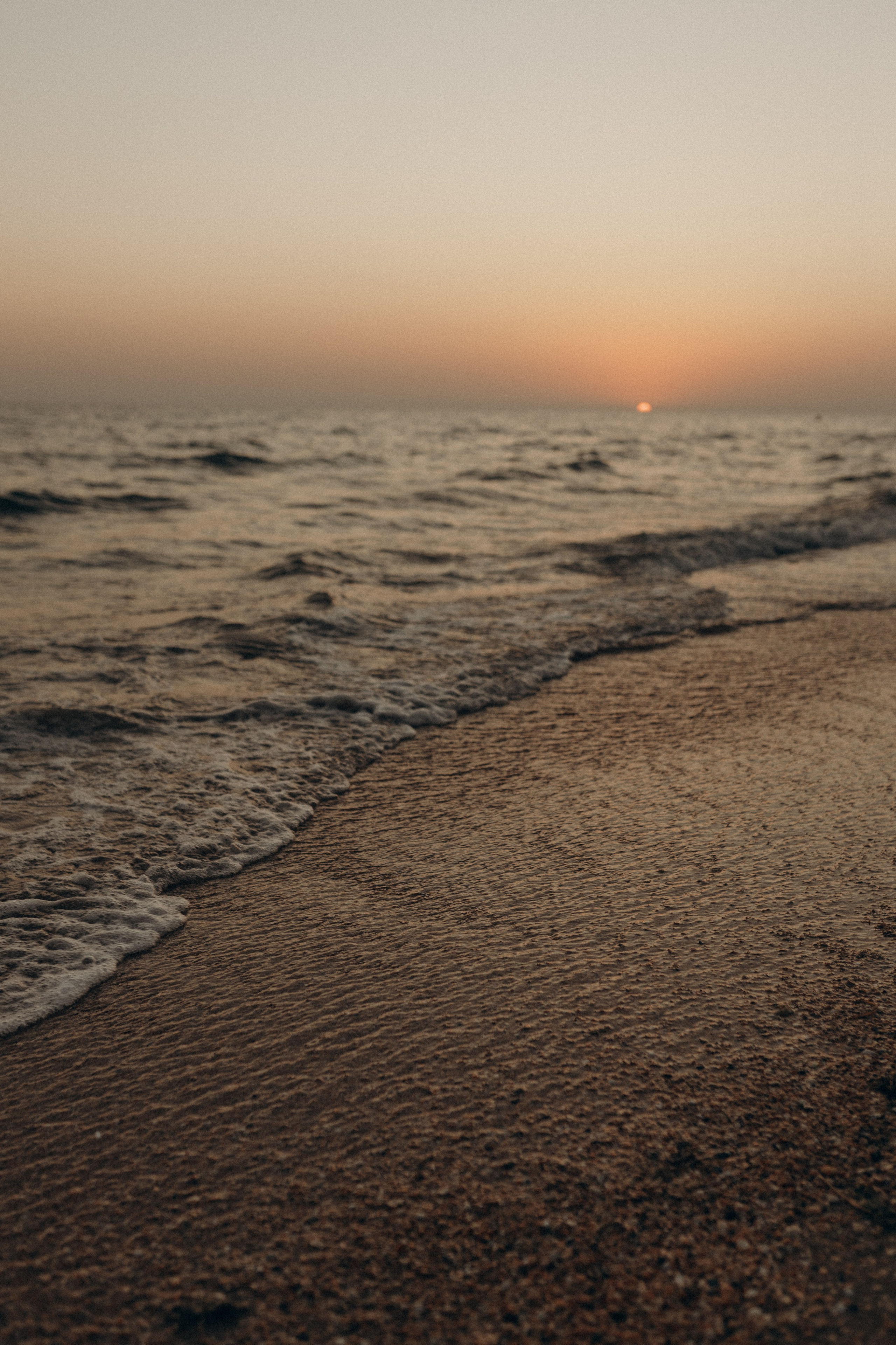 Даниил Софья и Петр. Семейный фотограф в Новороссийске и Анапе Александра Яковлева