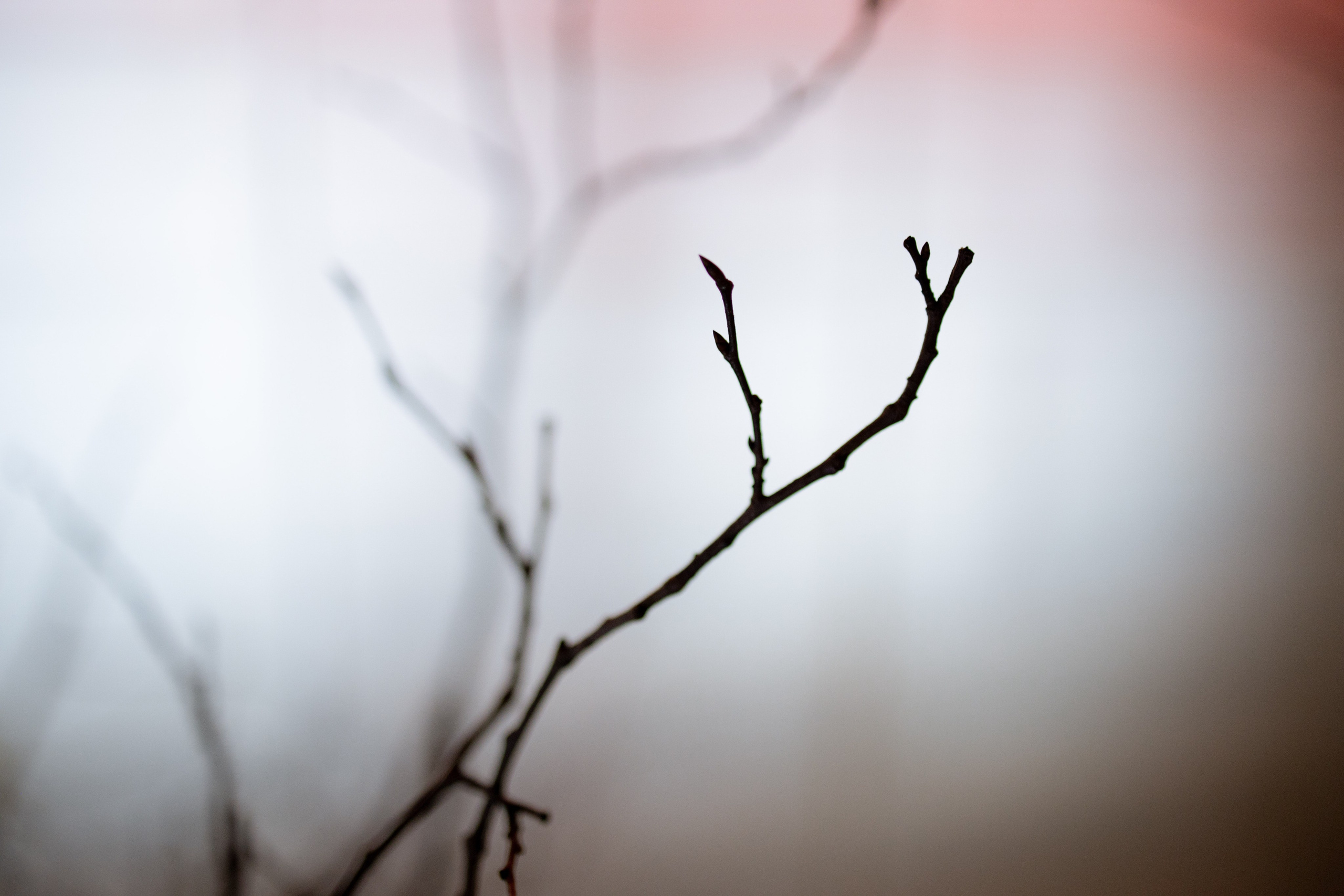 Новогодний корпоратив в фольклорном стиле. Особняк Лемана. Оформление свадеб, декор свадеб Вера Маркова, Москва