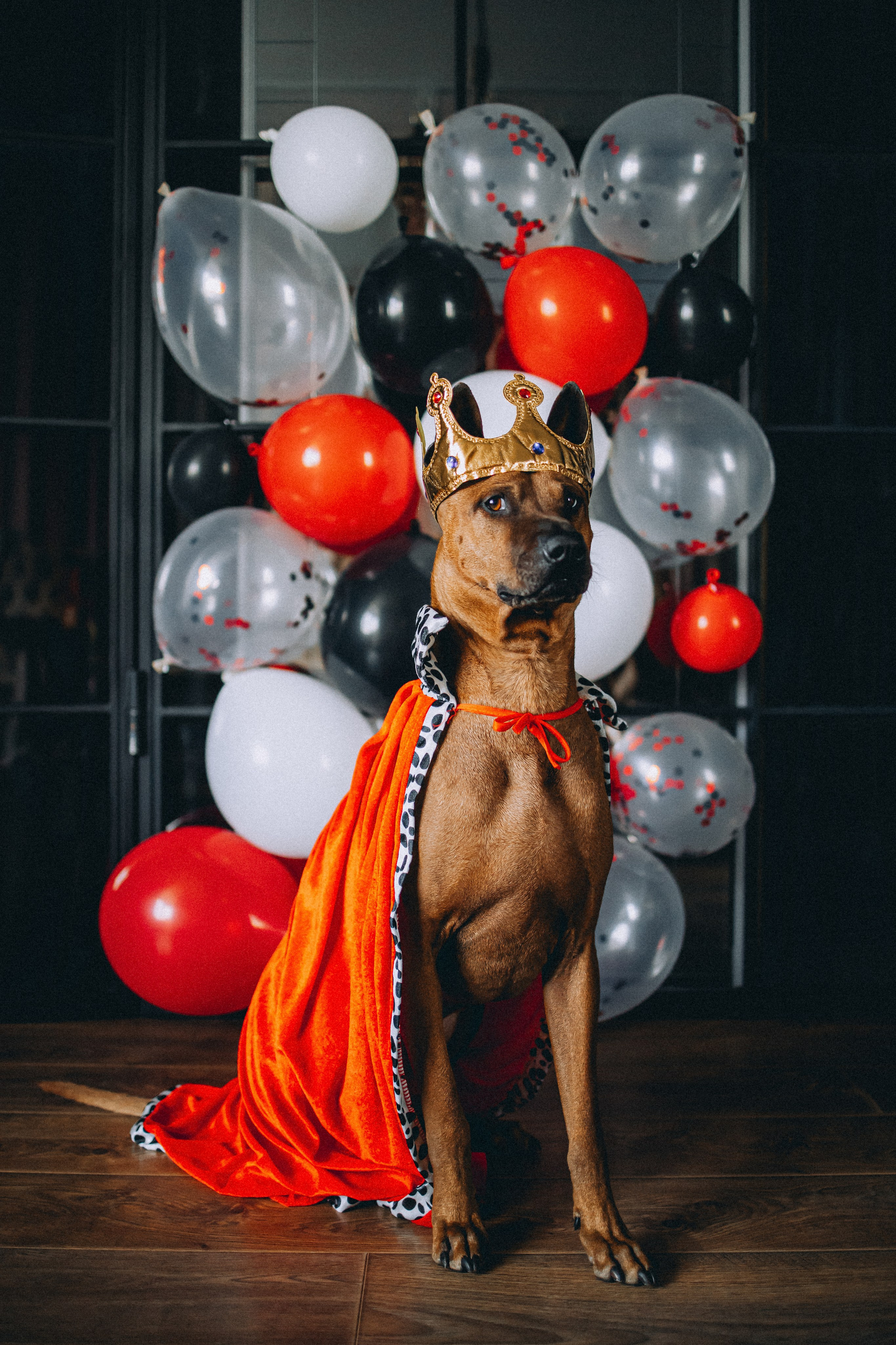 Оксана и Зевс