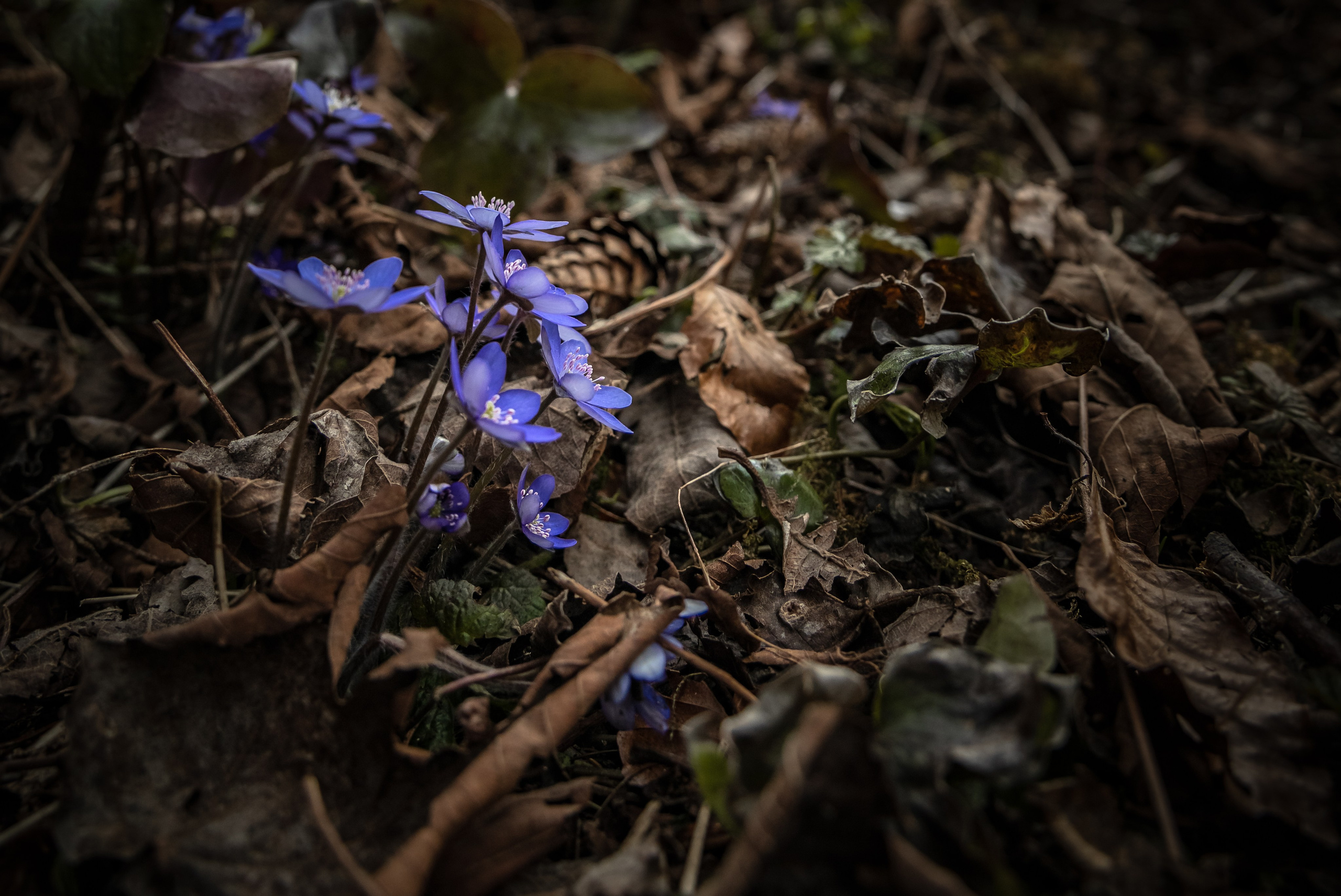 TRAVEL&NATURE. NE Cinema — backstage and reportage photography in cinema, music, Automotive and sport