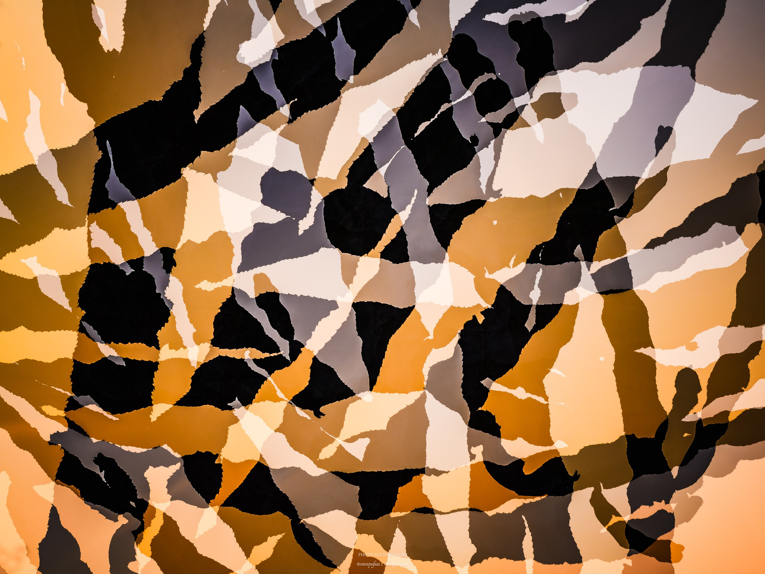 Четвёртое измерение. Авторские стильные фотокартины