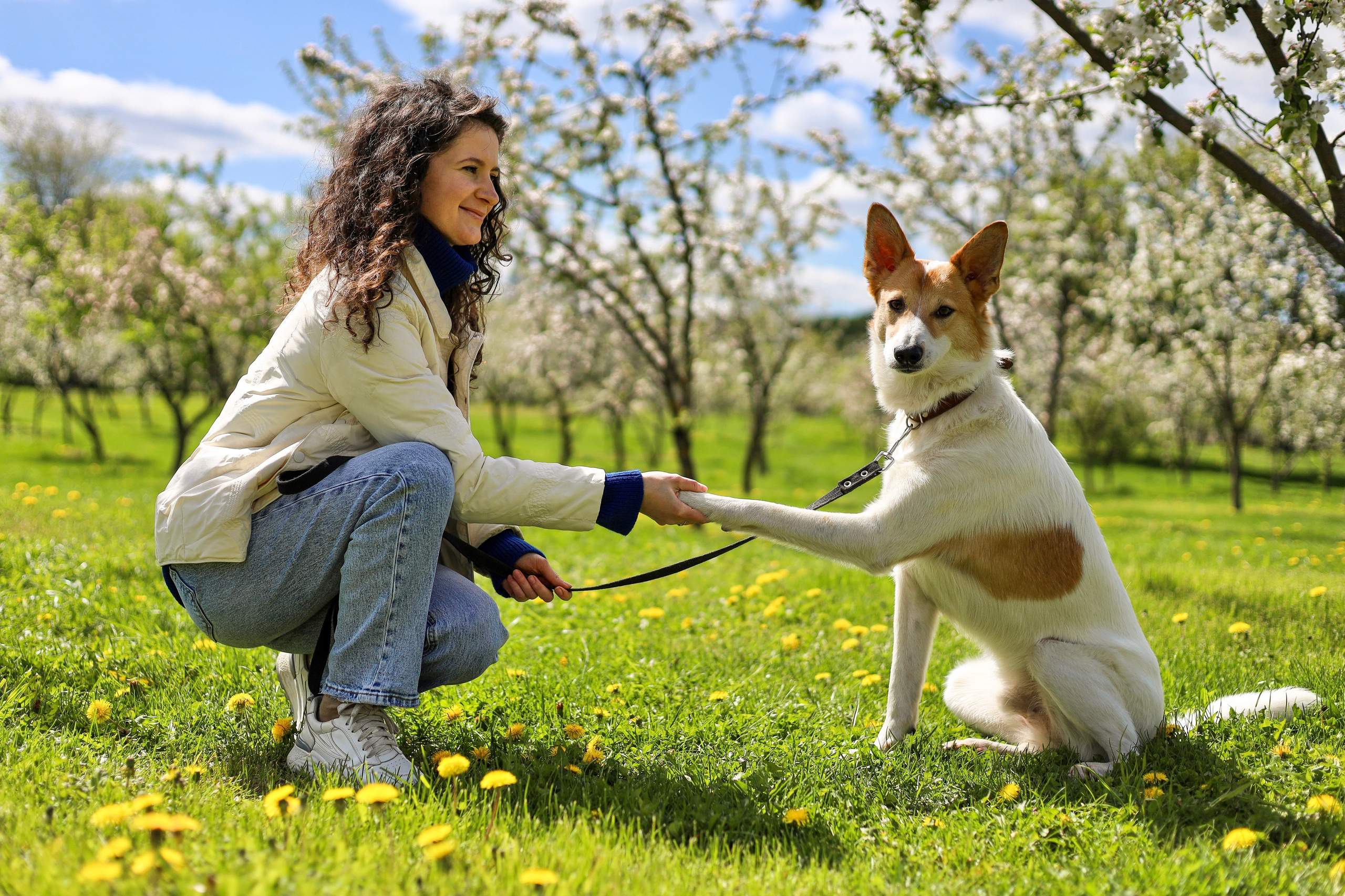 Лучик и Аня. Фотограф-анималист Ксения Шевцова|Москва