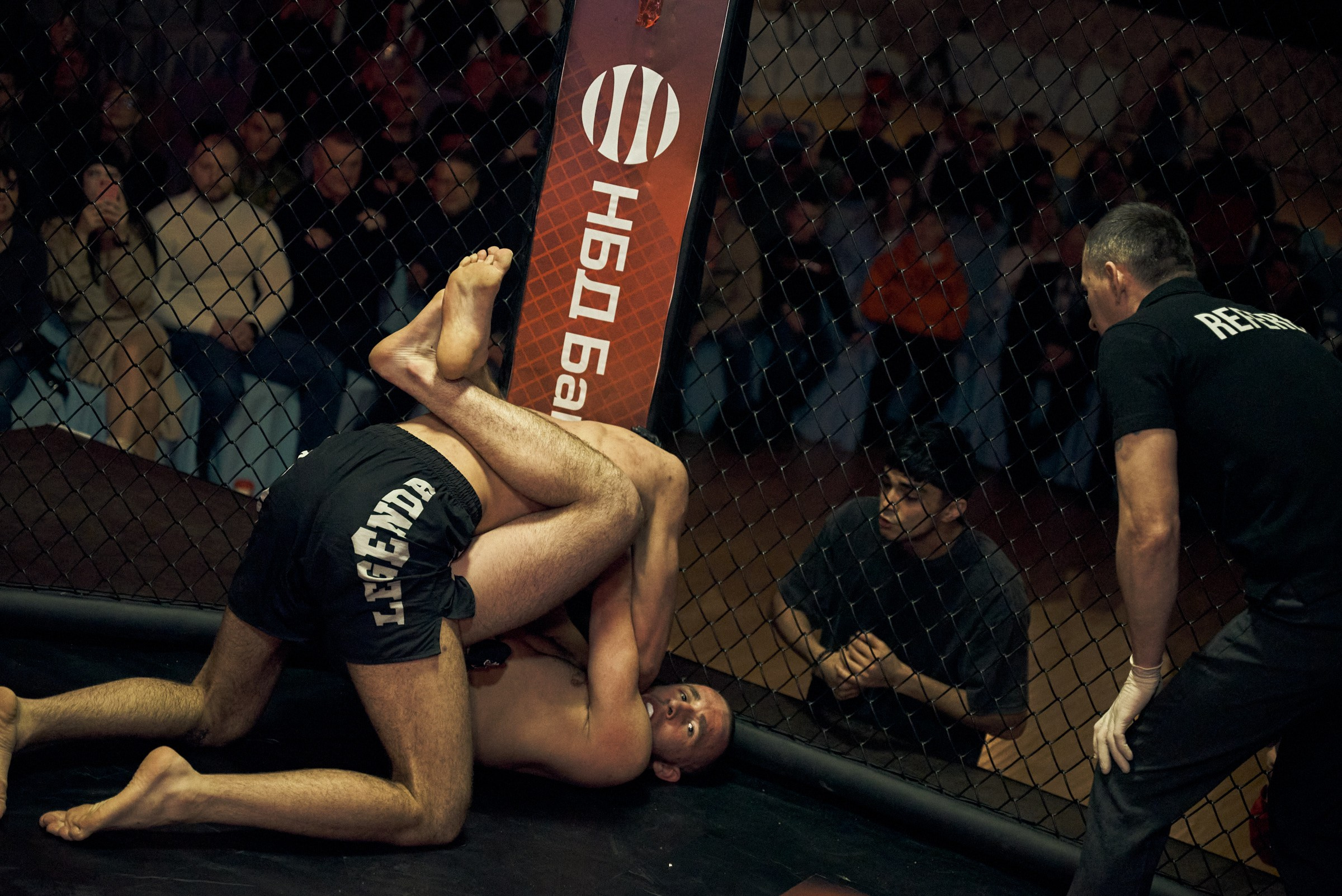 Бои. Маляревич Дмитрий свадебный фотограф