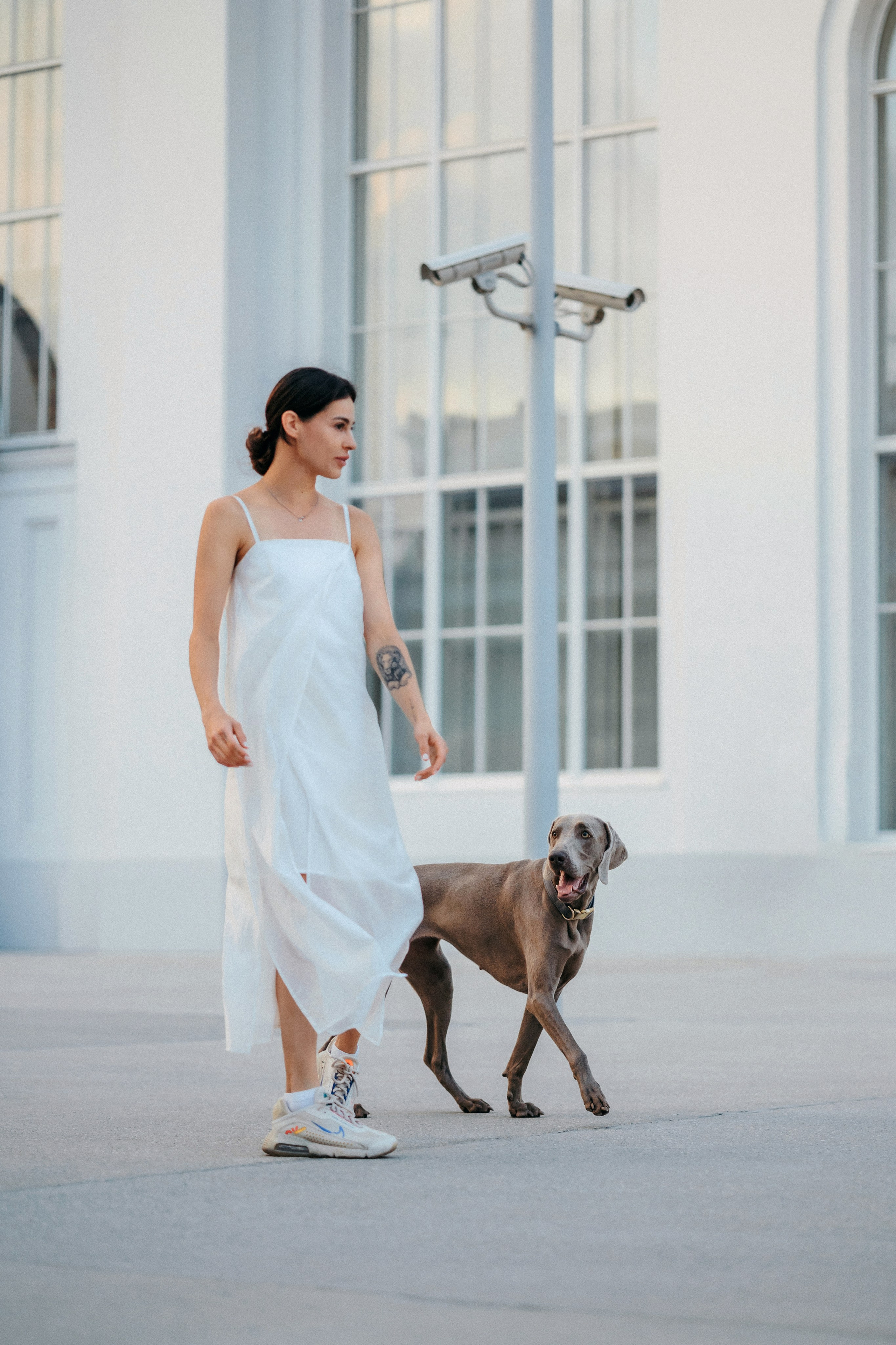 Соня и Майли. Фотограф-анималист Елена Радченко, Москва