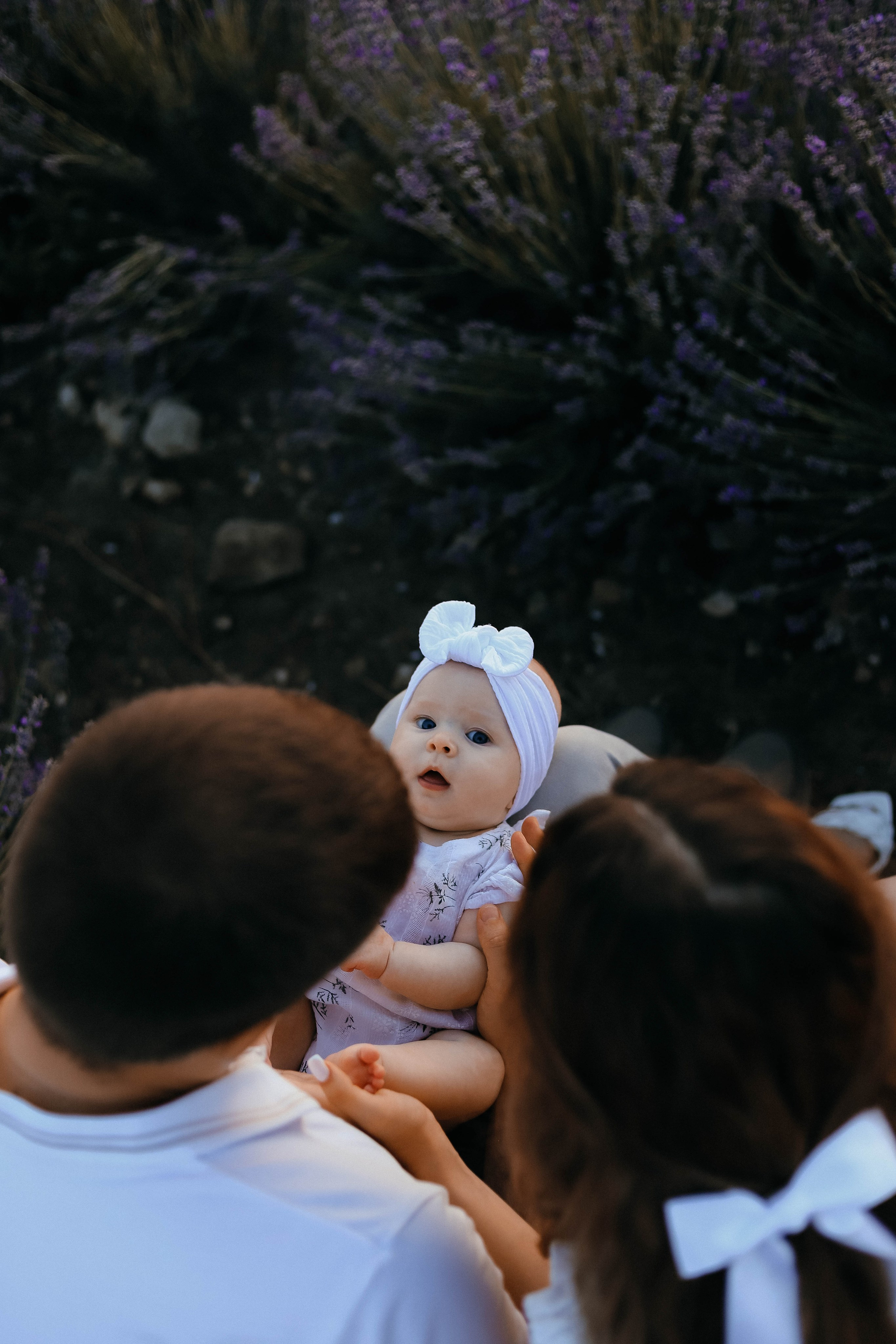 Тамара и Сергей в лаванде. Женский/Детский фотограф в Симферополе Вероника Слепогина