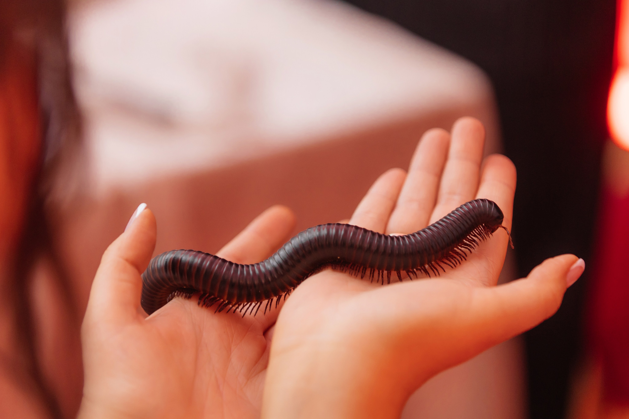 Юбилей Яны. Свадебный и Репортажный фотограф Нижний Новгород Москва Ежов Иван