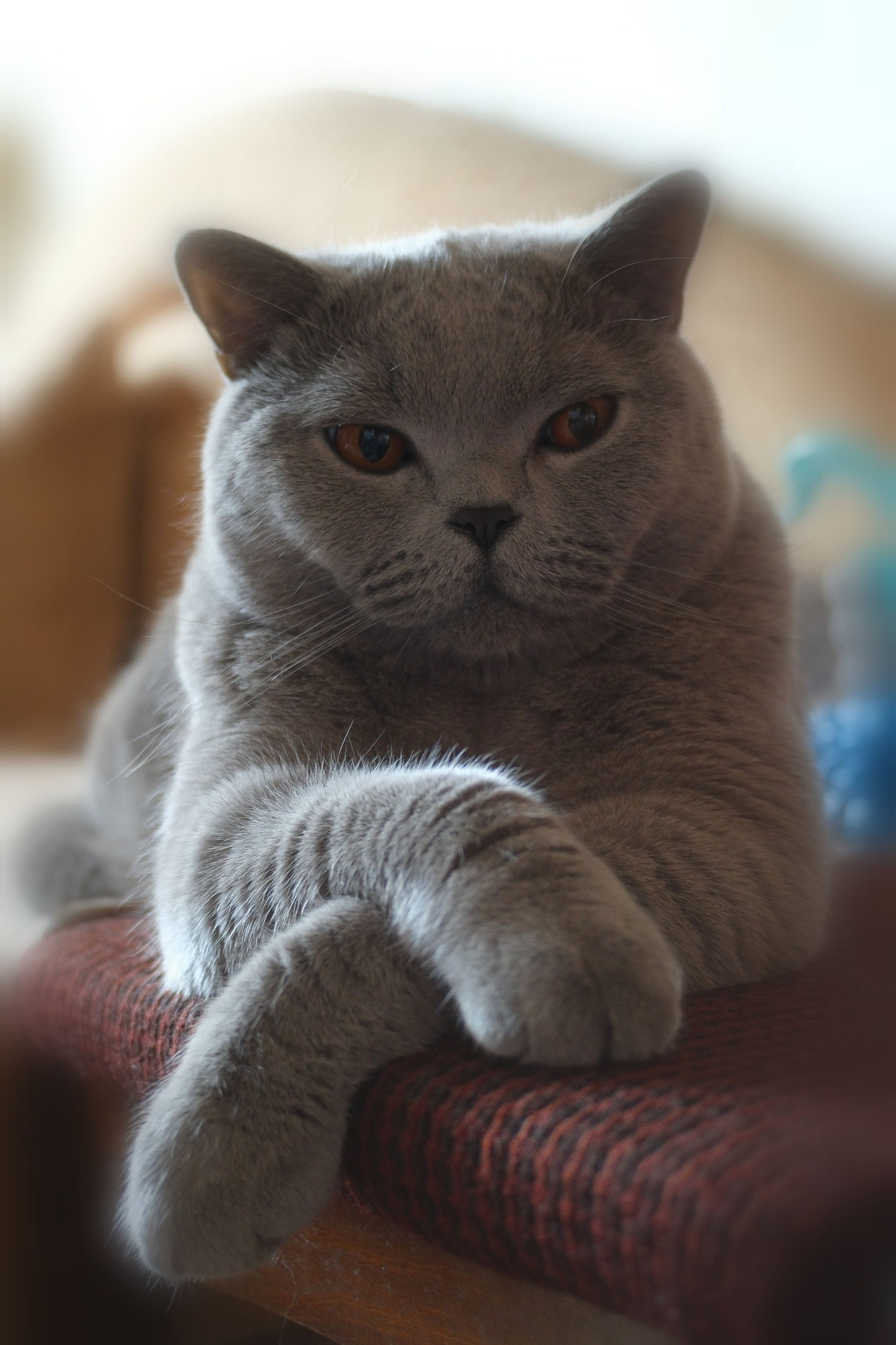 Улица, люди, жизнь…