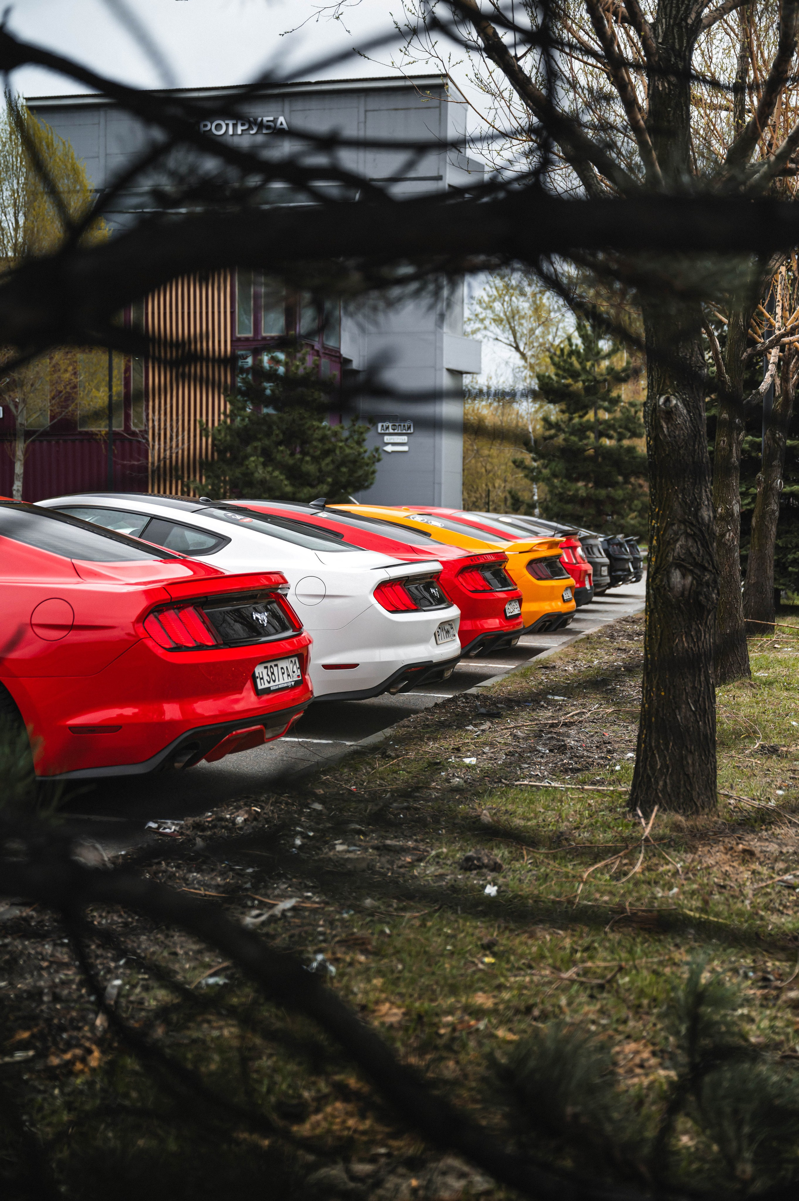 Сбор Mustang Club. Автомобильный фотограф в Москве — Сидоров Дмитрий