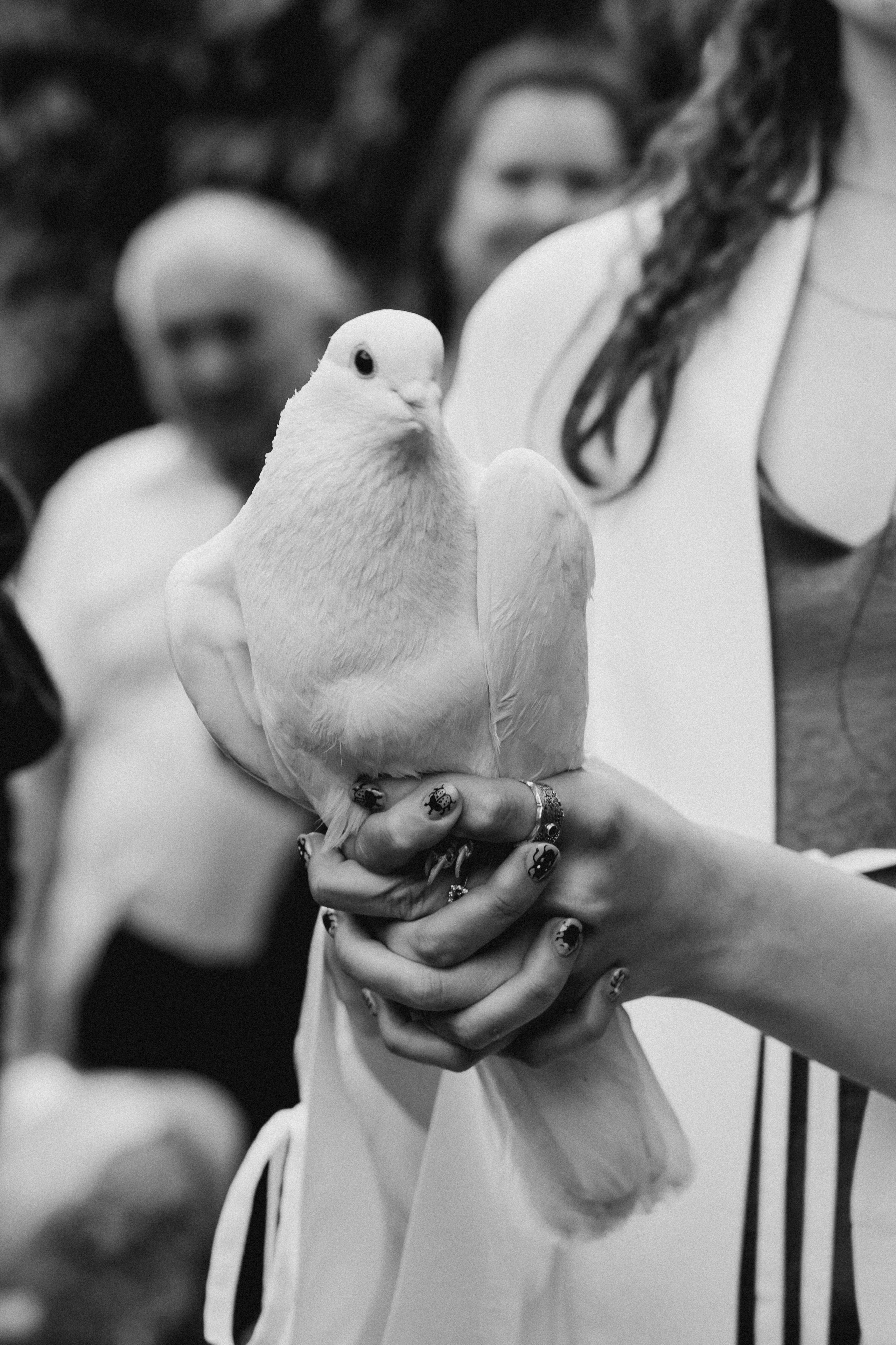 Свадебные съемки. Фотографирую светом и сердцем в Москве с 2014 года