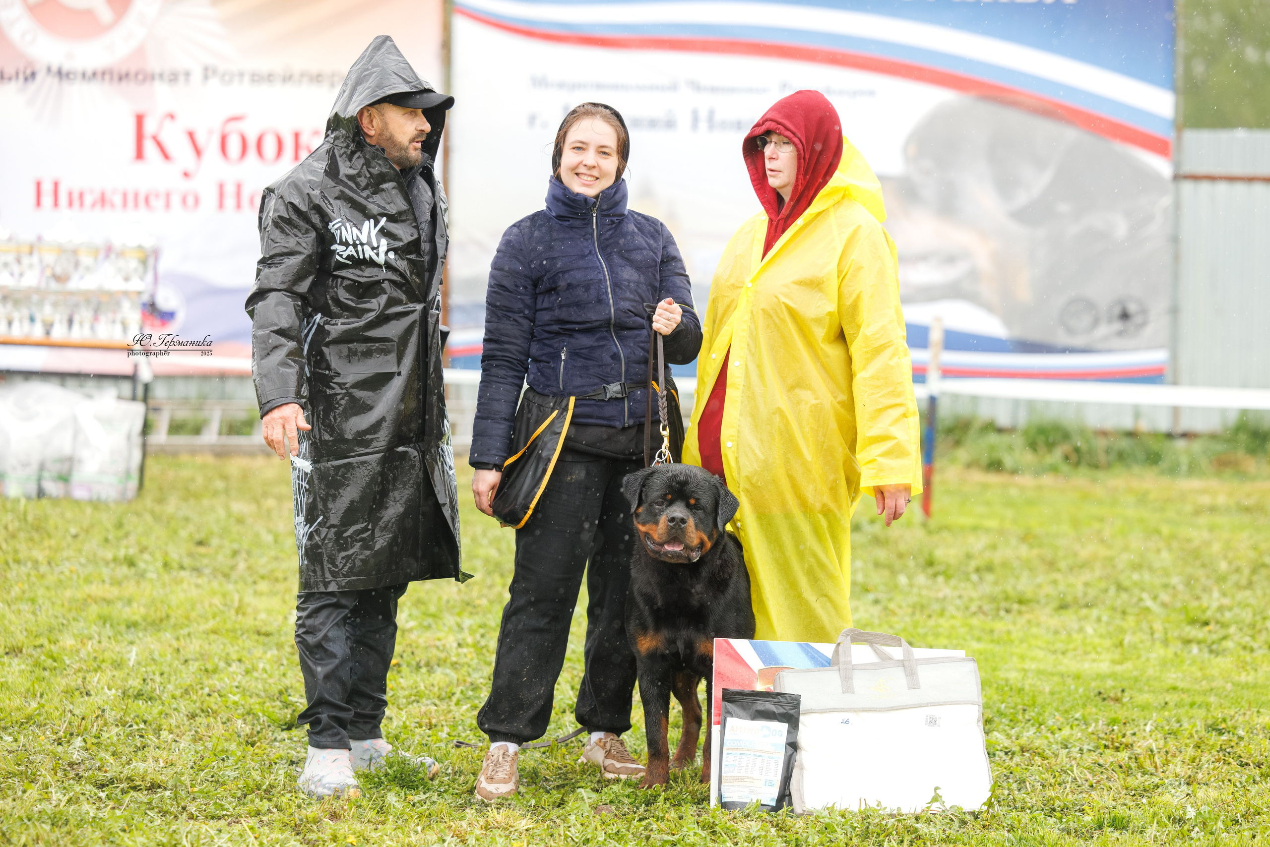 Нижний Новгород 2хмоно ротвейлеров 10-11.05.2025. Фотограф-анималист Юлия Германика