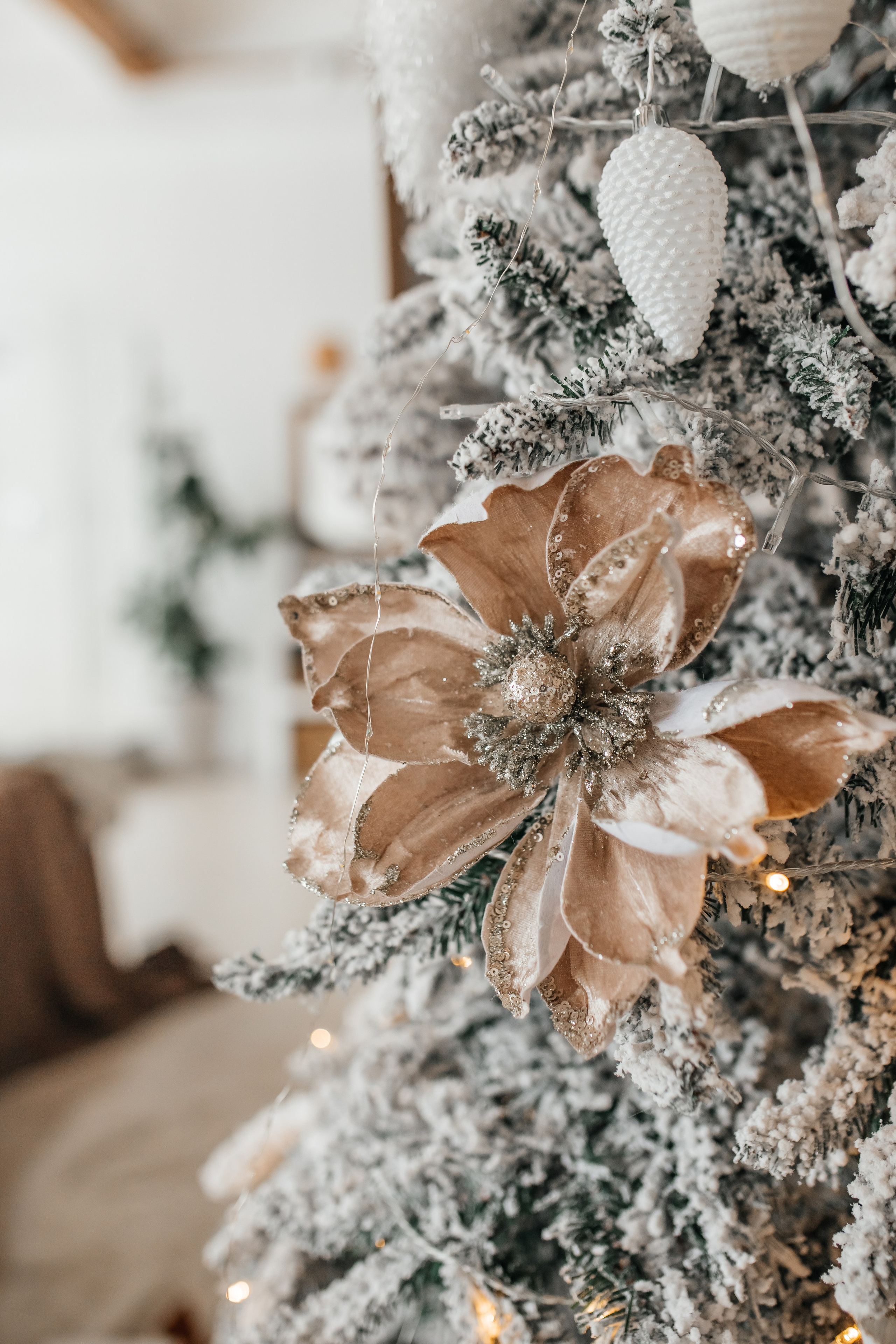 Фотосессия для эзотерика. Коммерческий фотограф в Москве, Наталия Горячева