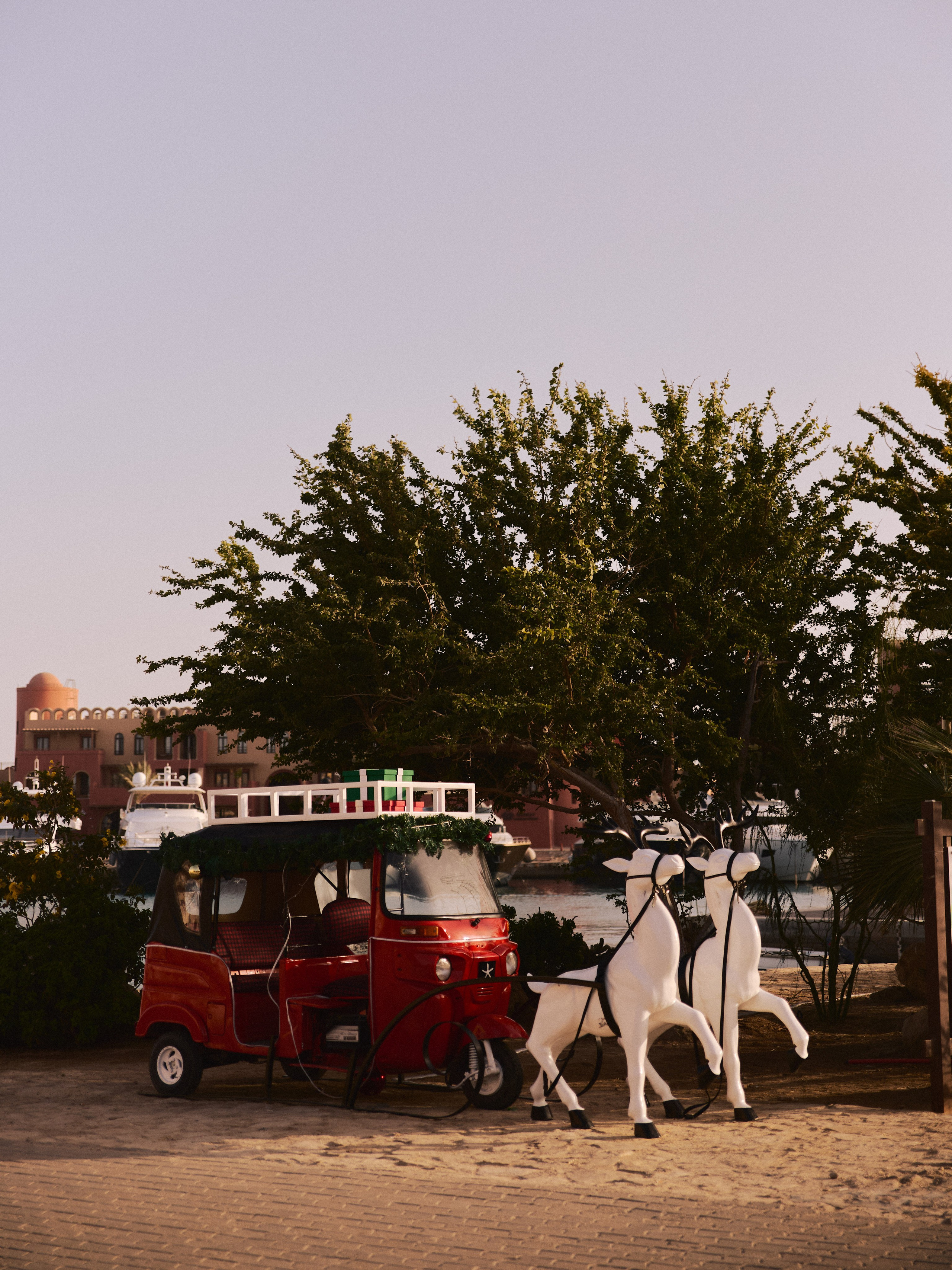 Природа сквозь. Jorgis Talè — photographer, kind person, teacher of arts and other mag